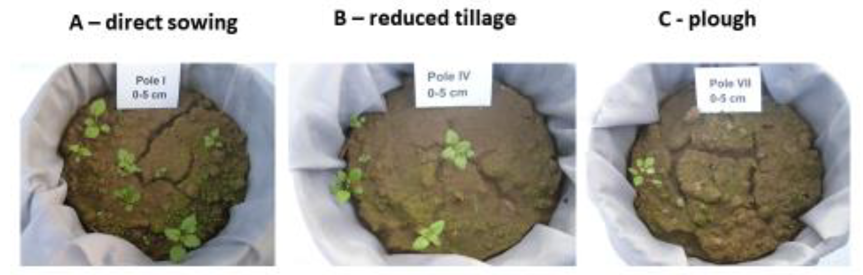 Agriculture 10 00186 g010