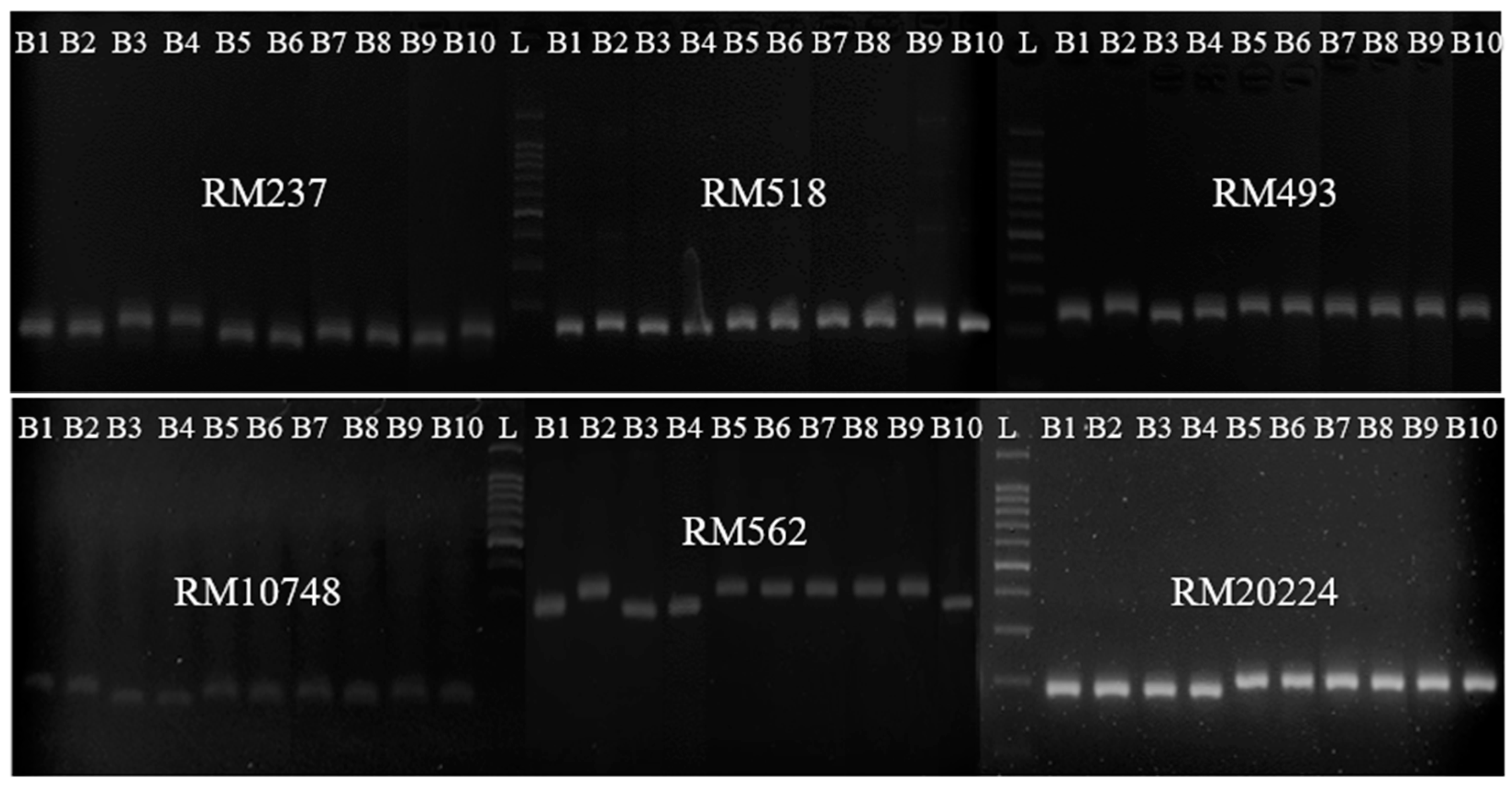 Agriculture 10 00191 g002 Agriculture 10 00191 g002