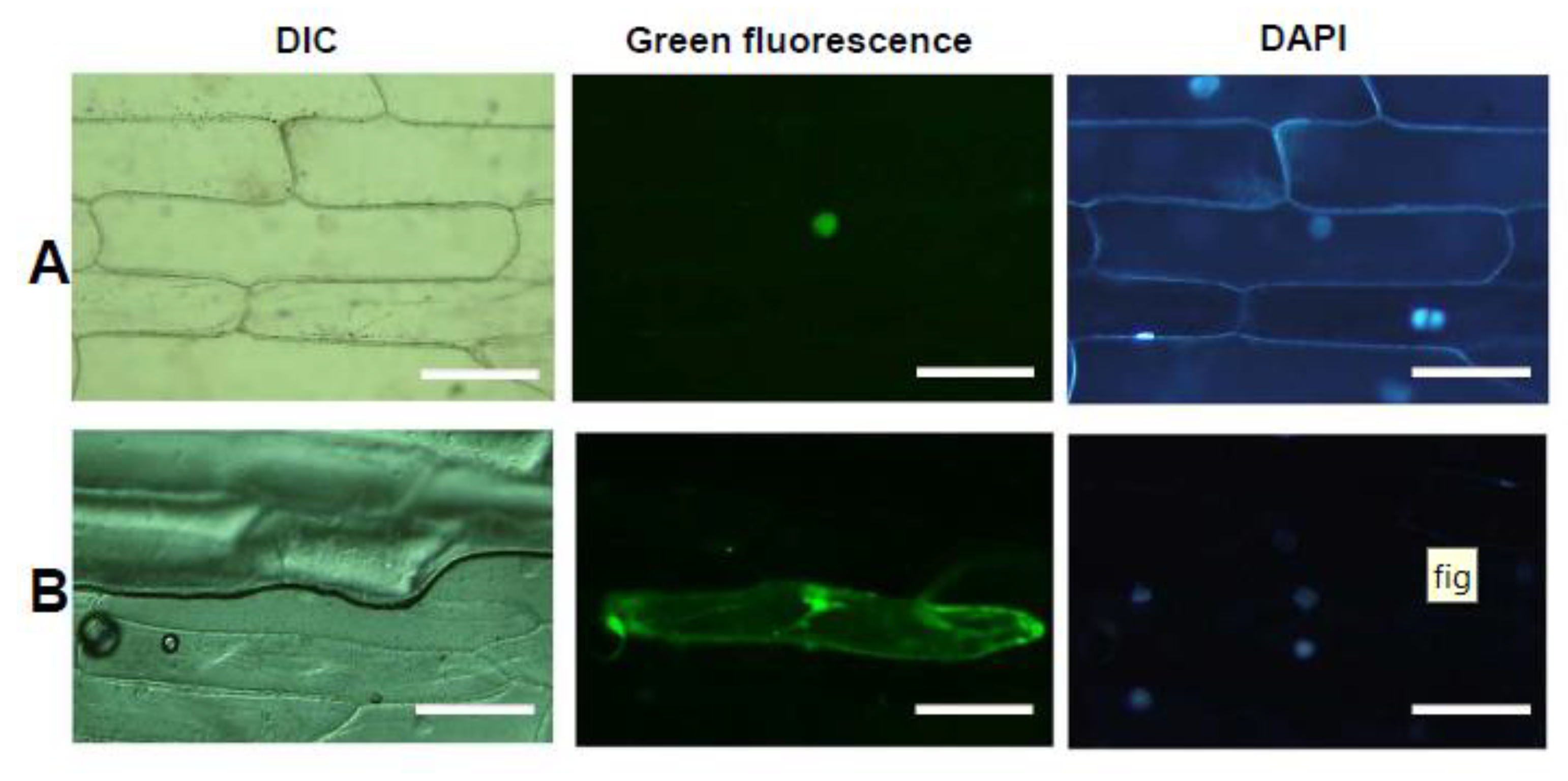 Agriculture 10 00201 g002 Agriculture 10 00201 g002