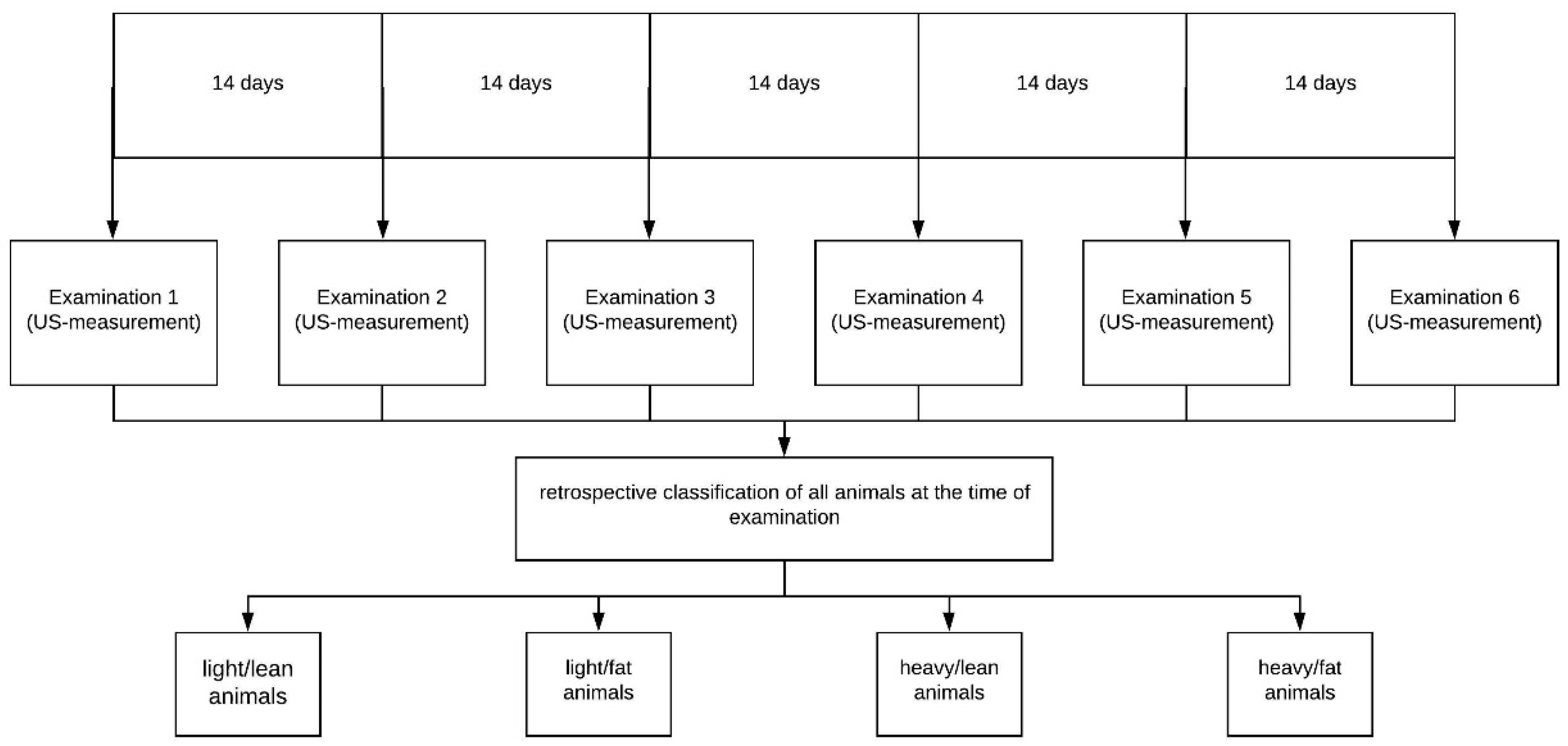 Agriculture 10 00222 g004