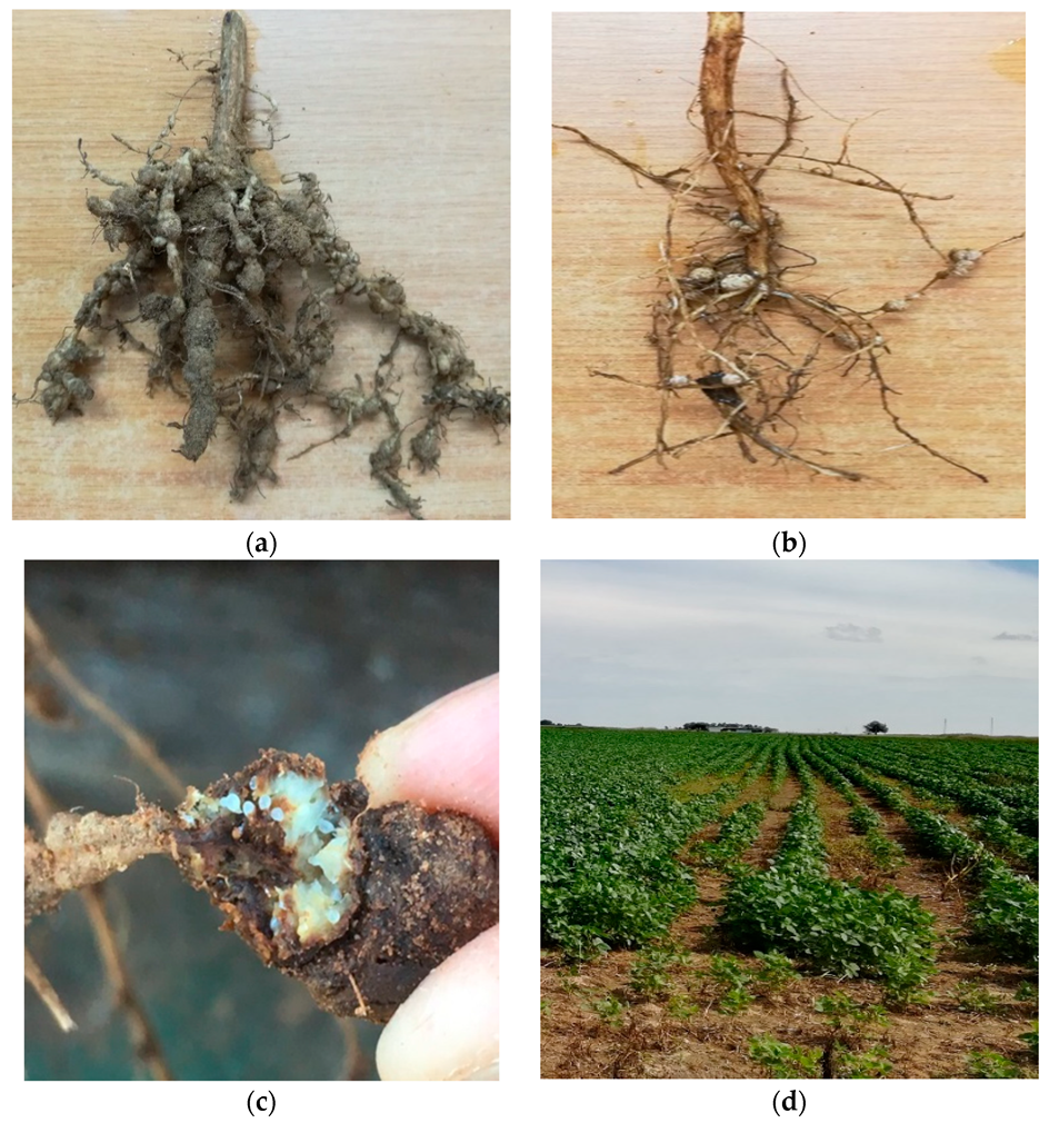 Agriculture 10 00242 g001 Agriculture 10 00242 g001