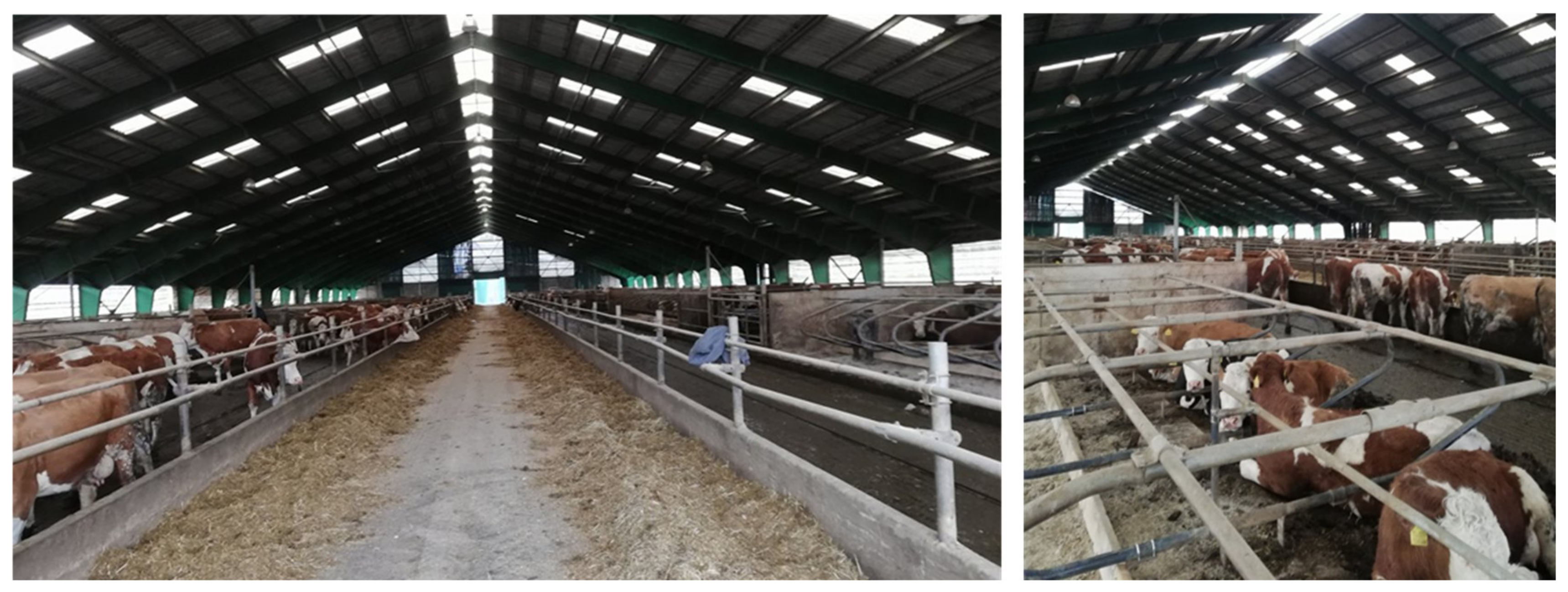 Agriculture 10 00245 g002