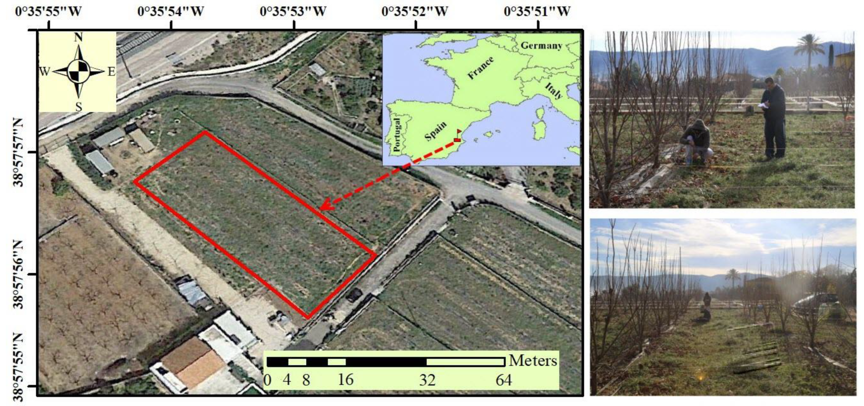 Agriculture 10 00266 g001 Agriculture 10 00266 g001