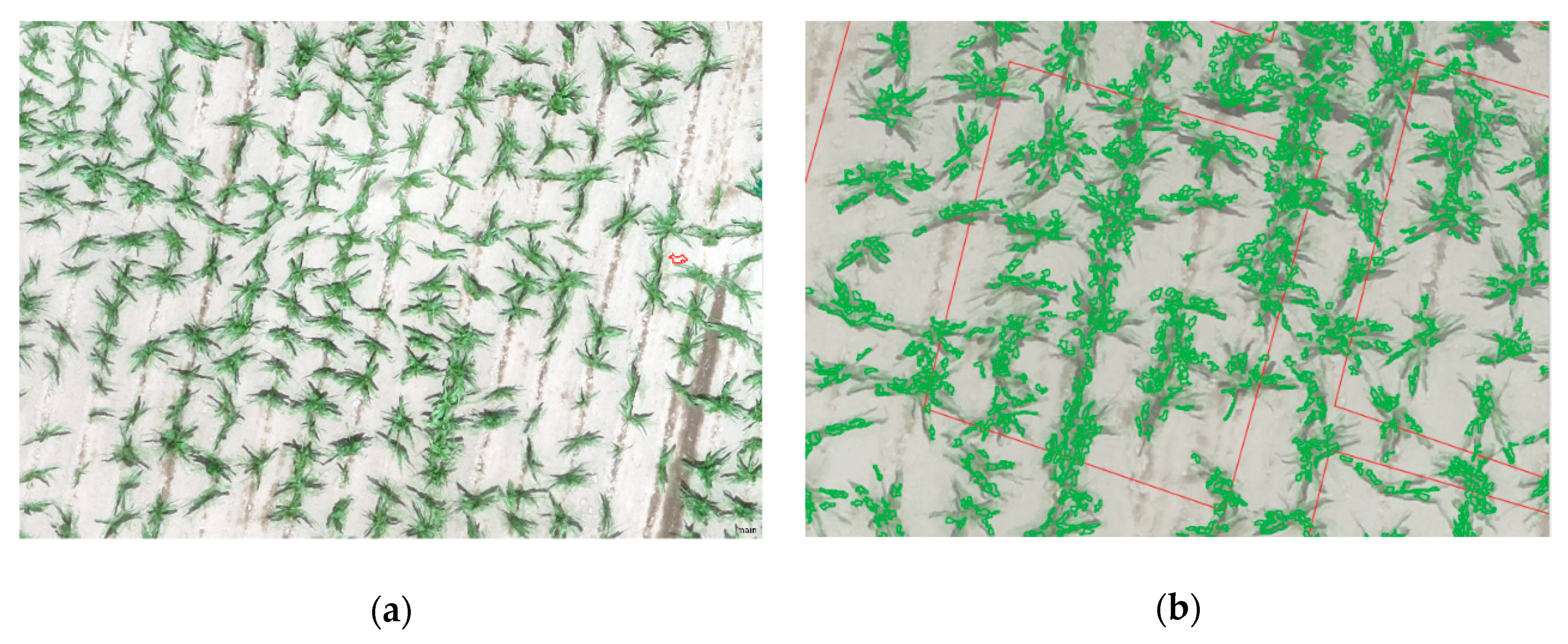 Agriculture 10 00277 g003