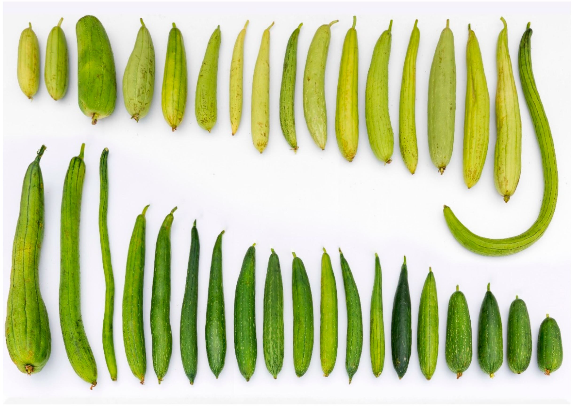 Agriculture 10 00298 g002 Agriculture 10 00298 g002