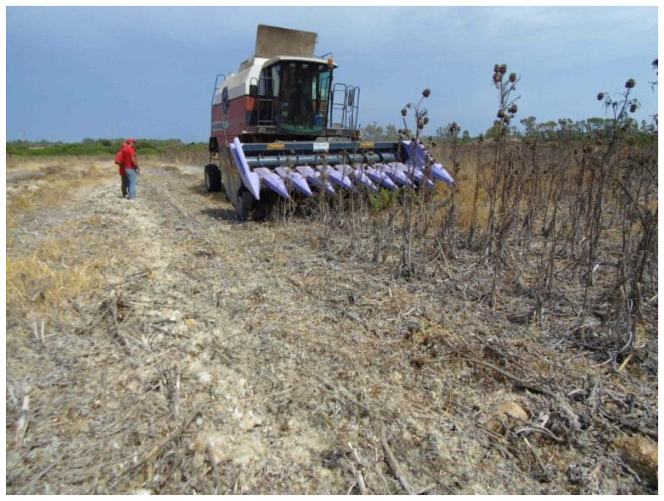 Agriculture 10 00309 g003 Agriculture 10 00309 g003