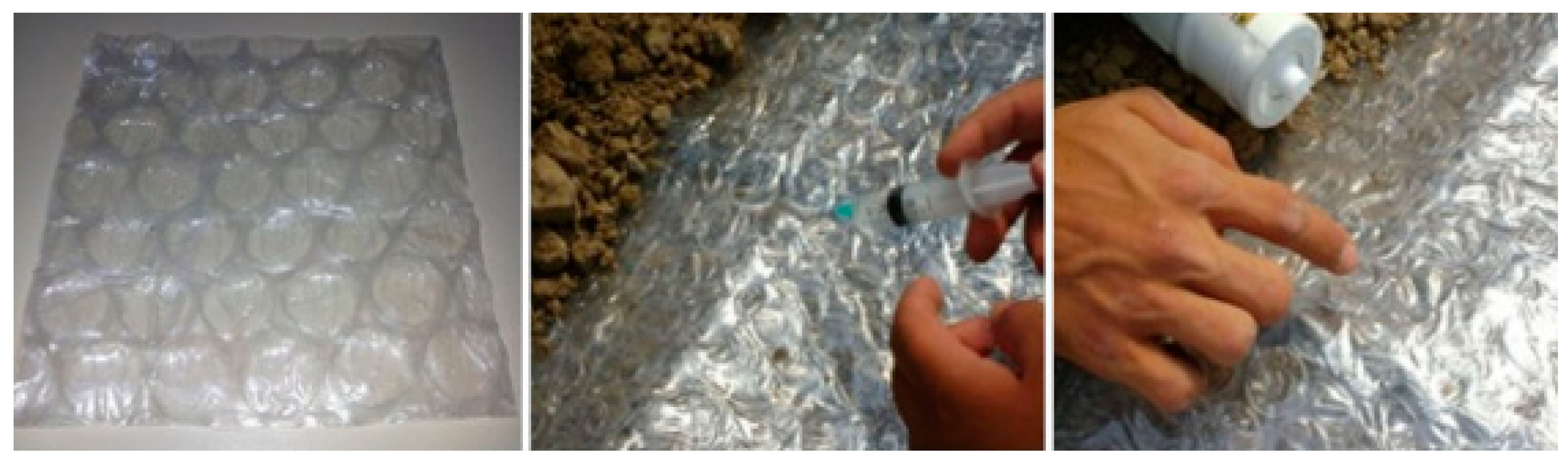 Agriculture 10 00310 g002 Agriculture 10 00310 g002