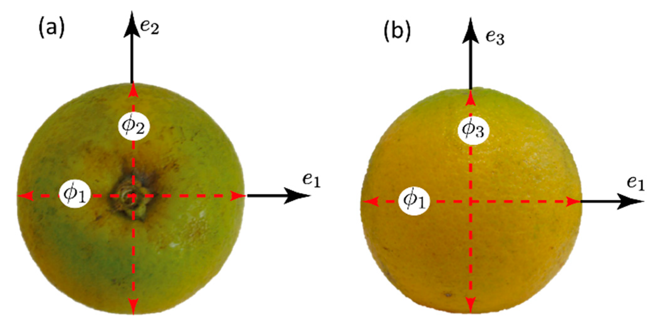 Agriculture 10 00313 g003