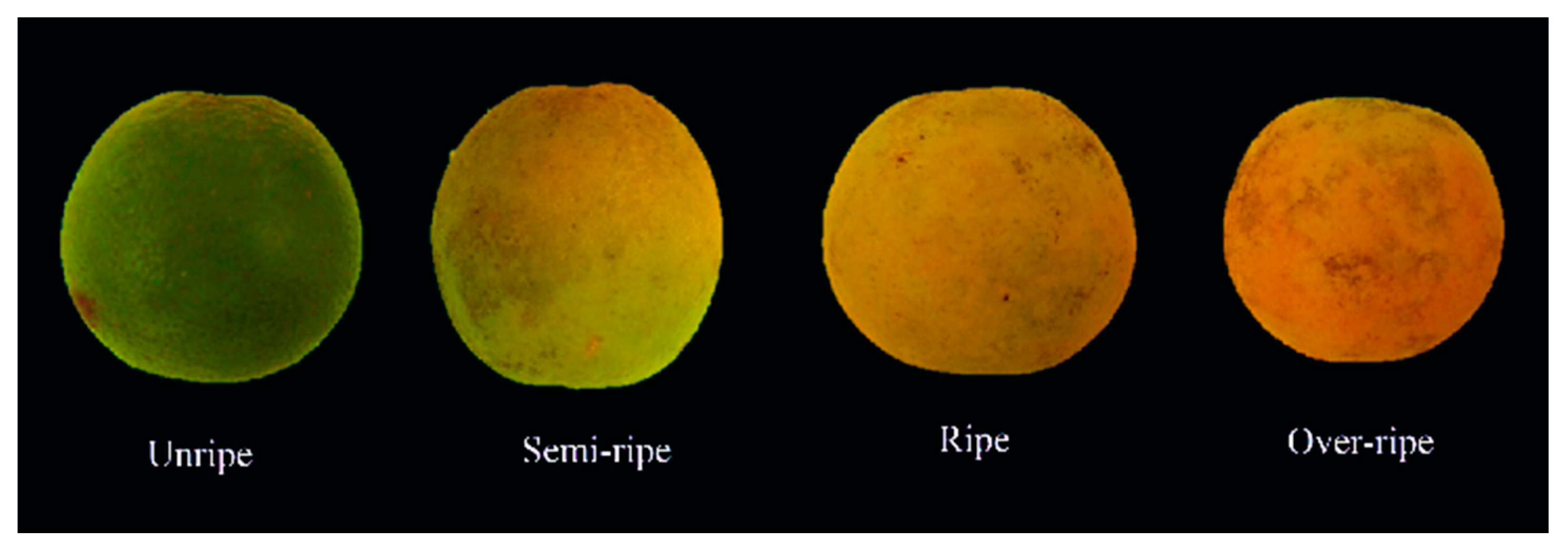 Agriculture 10 00313 g004