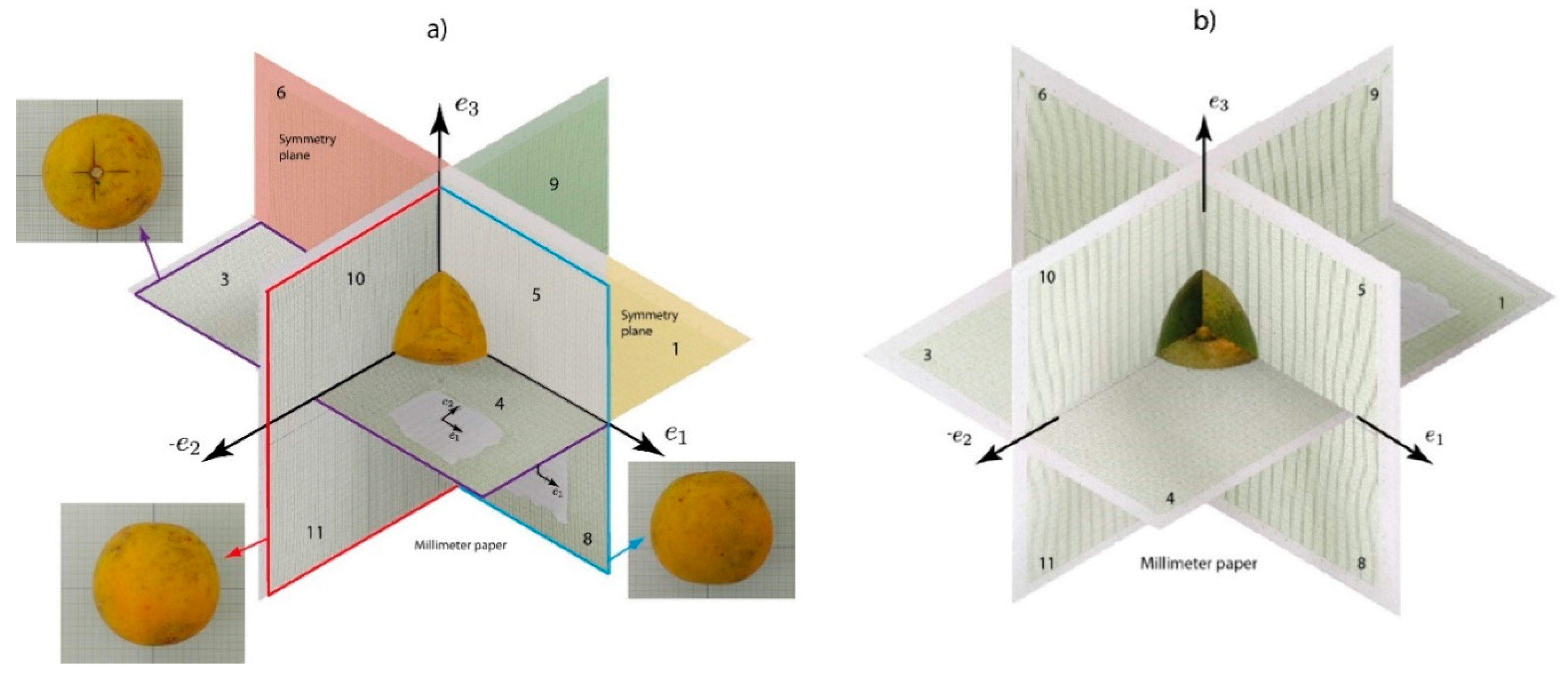 Agriculture 10 00313 g005