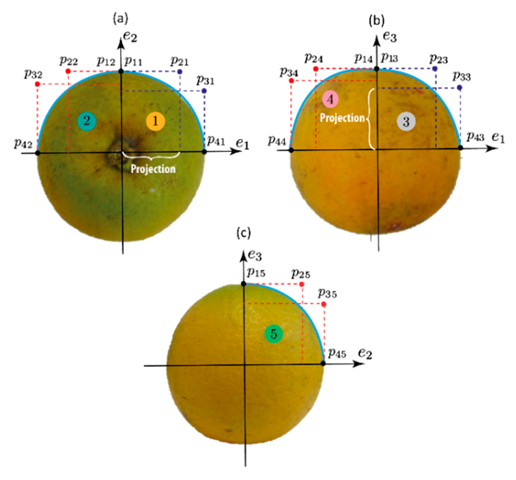Agriculture 10 00313 g006