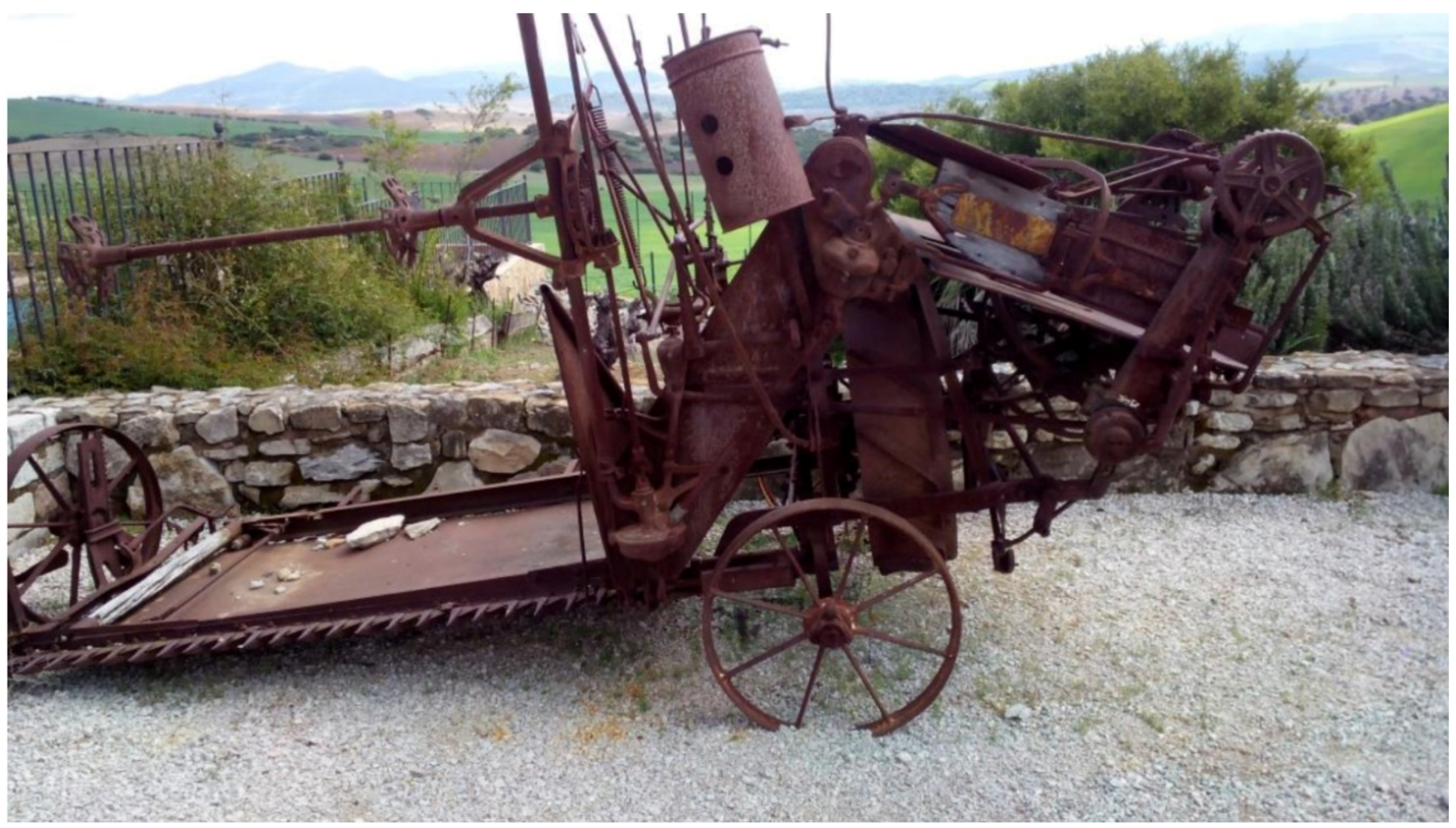 Agriculture 10 00322 g001