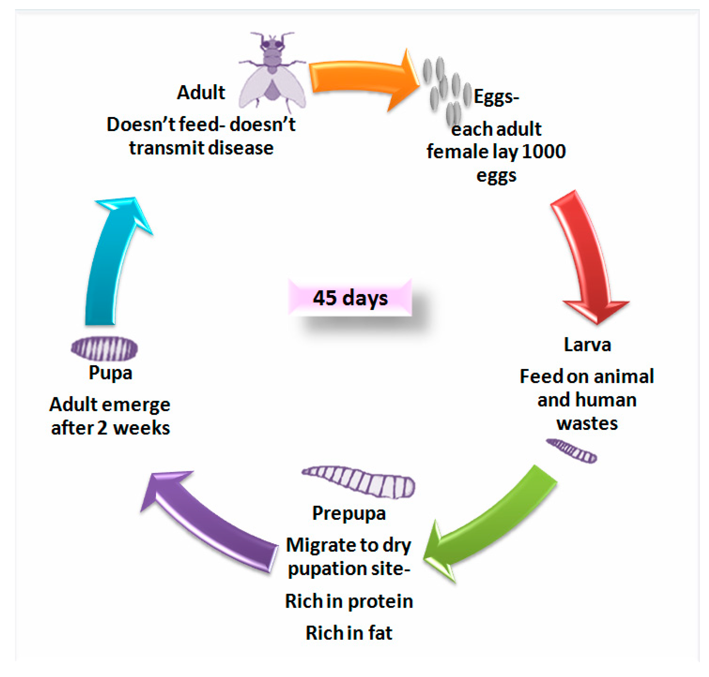 Agriculture 10 00339 g002