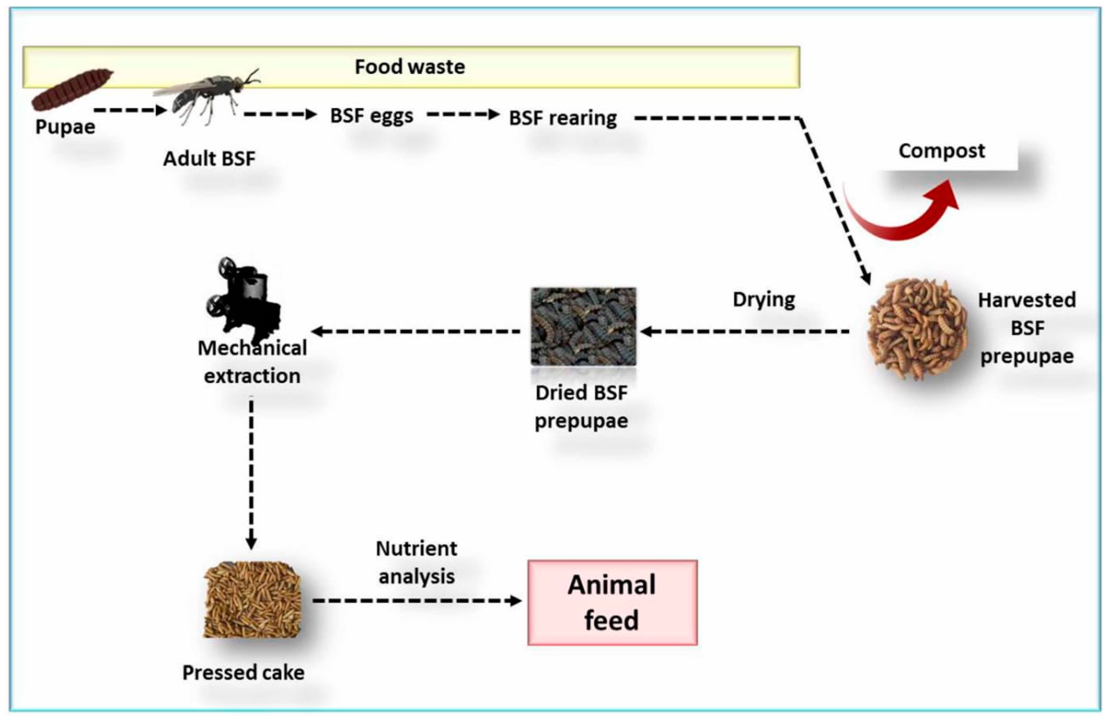 Agriculture 10 00339 g003