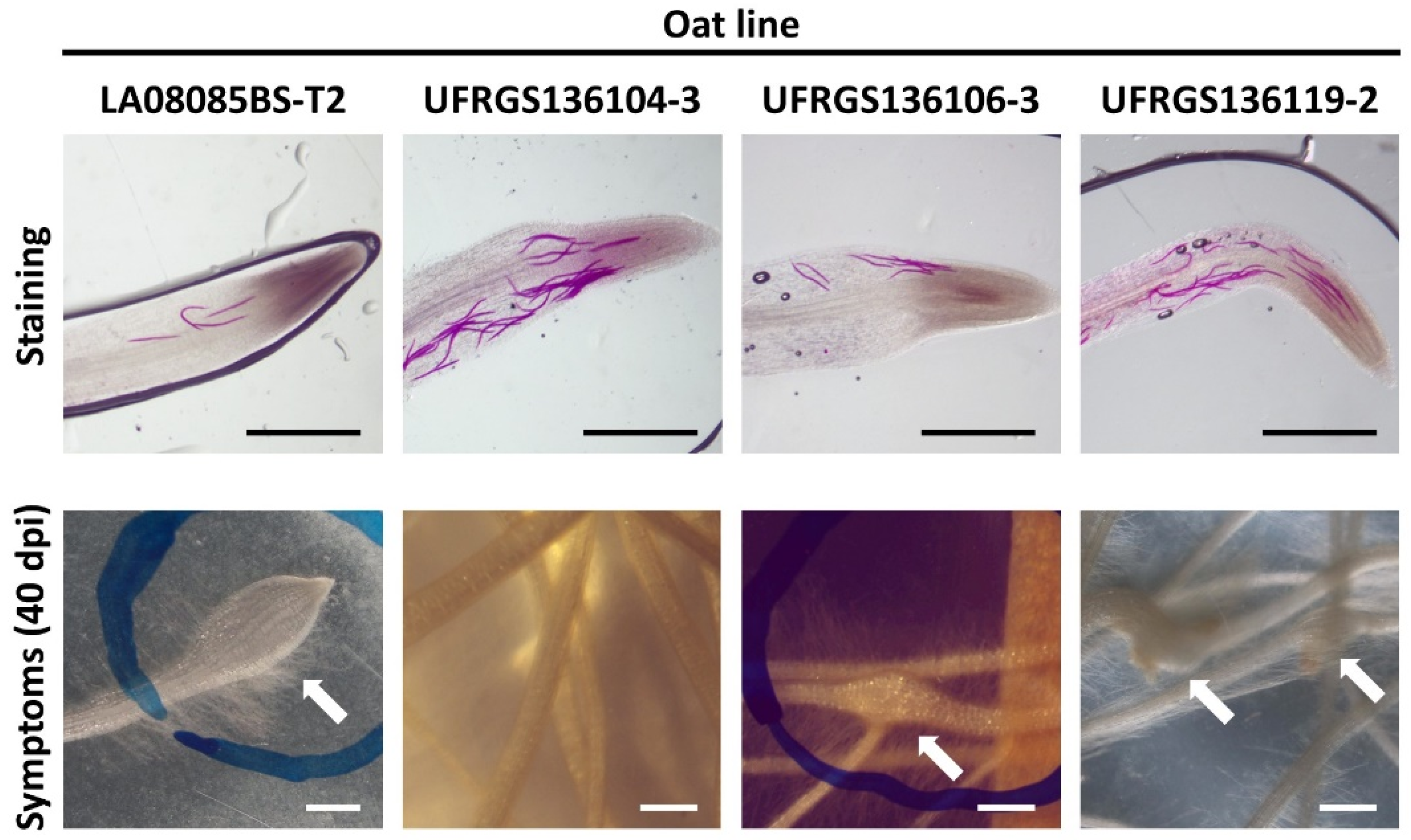 Agriculture 10 00352 g002 Agriculture 10 00352 g002