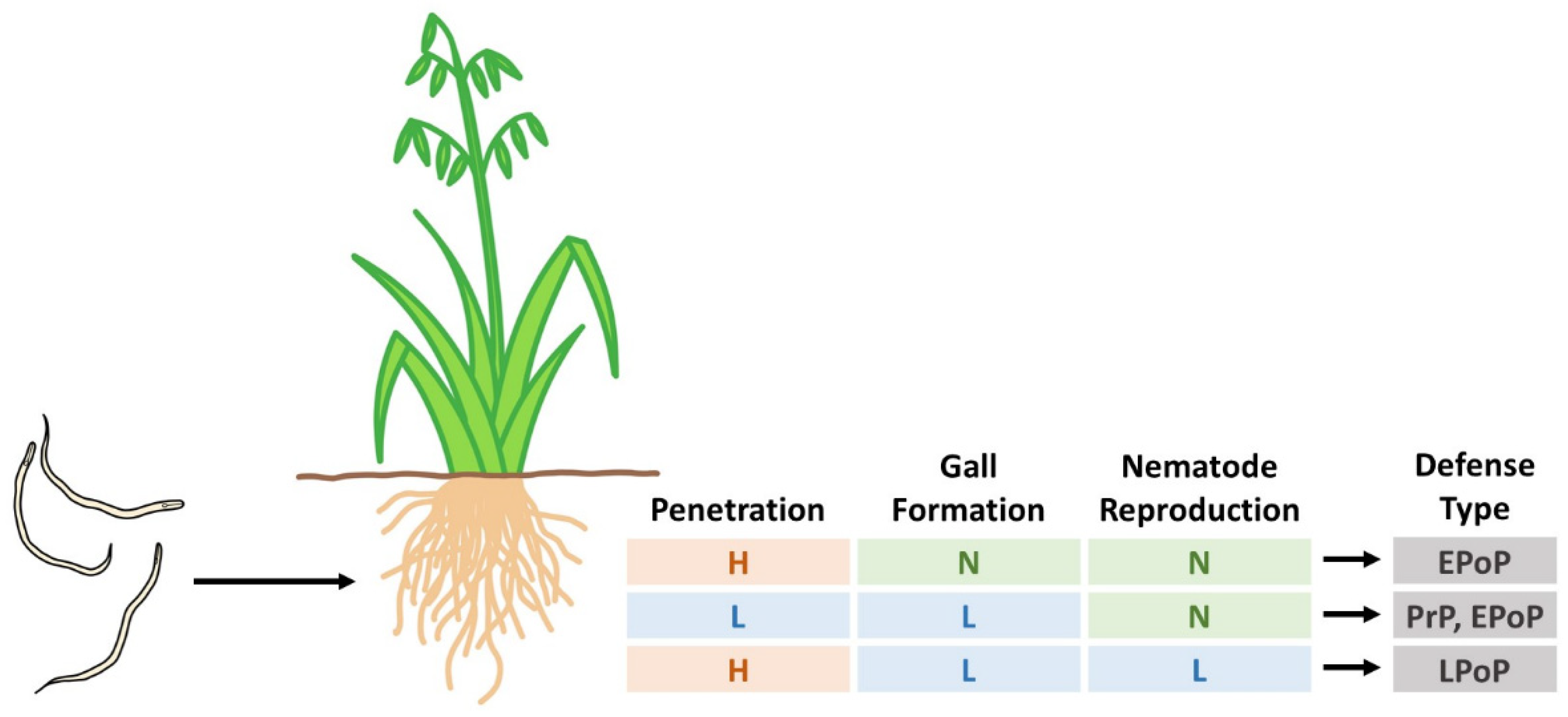 Agriculture 10 00352 g003 Agriculture 10 00352 g003