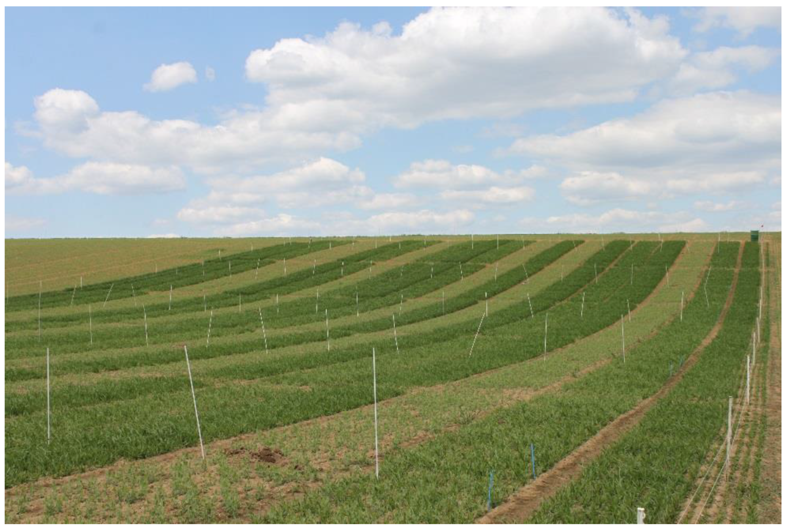 Agriculture 10 00354 g001 Agriculture 10 00354 g001