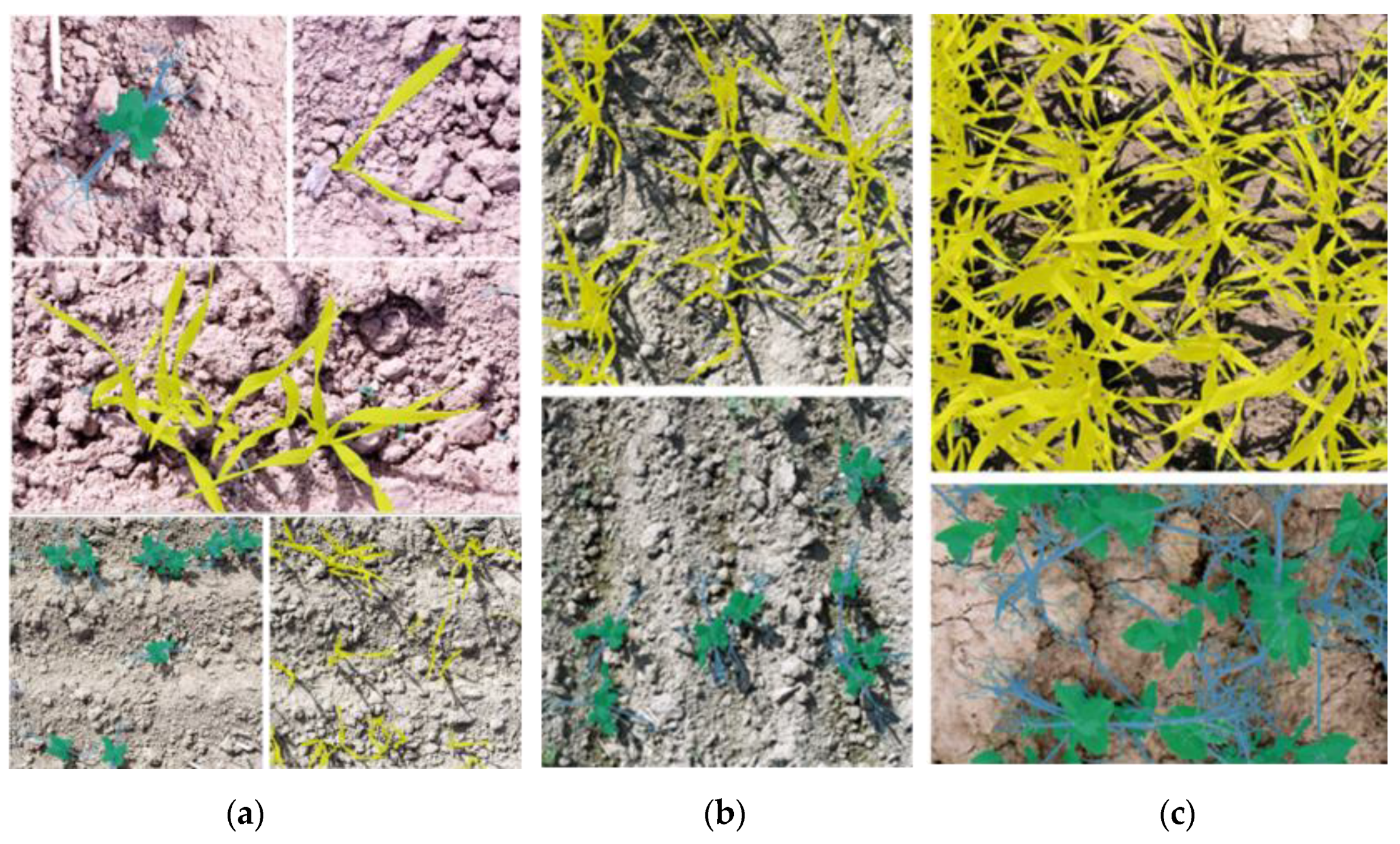 Agriculture 10 00354 g003 Agriculture 10 00354 g003