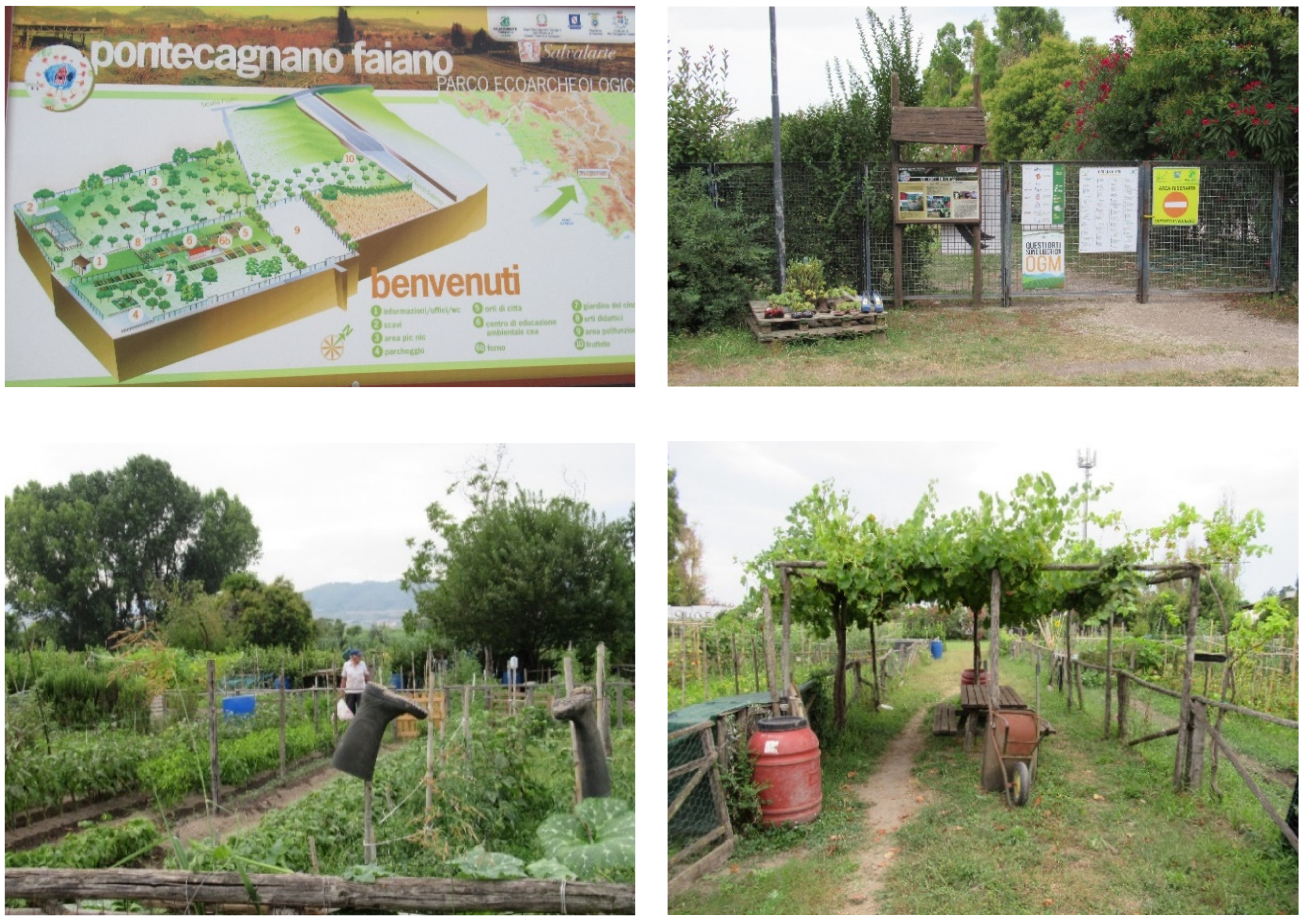 Agriculture 10 00358 g003 Agriculture 10 00358 g003