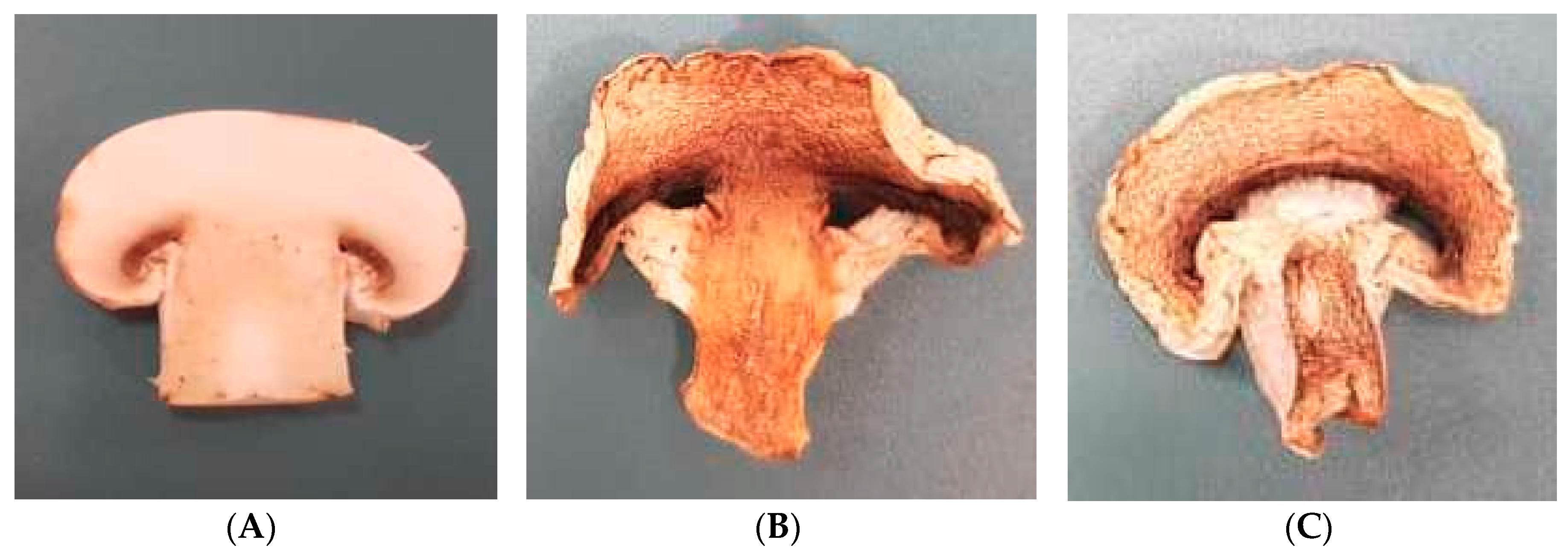 Agriculture 10 00371 g001 Agriculture 10 00371 g001