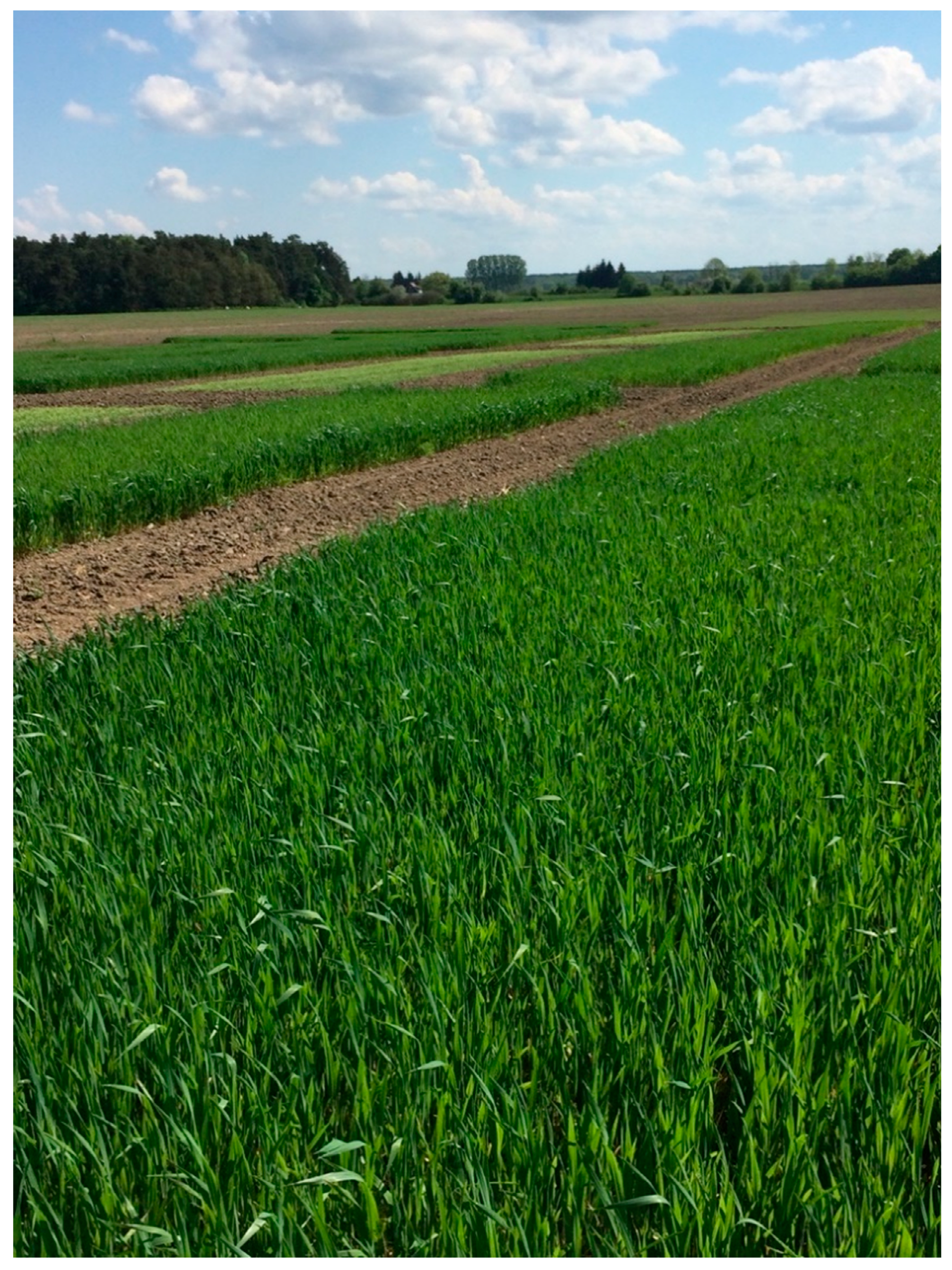 Agriculture 10 00405 g001 Agriculture 10 00405 g001