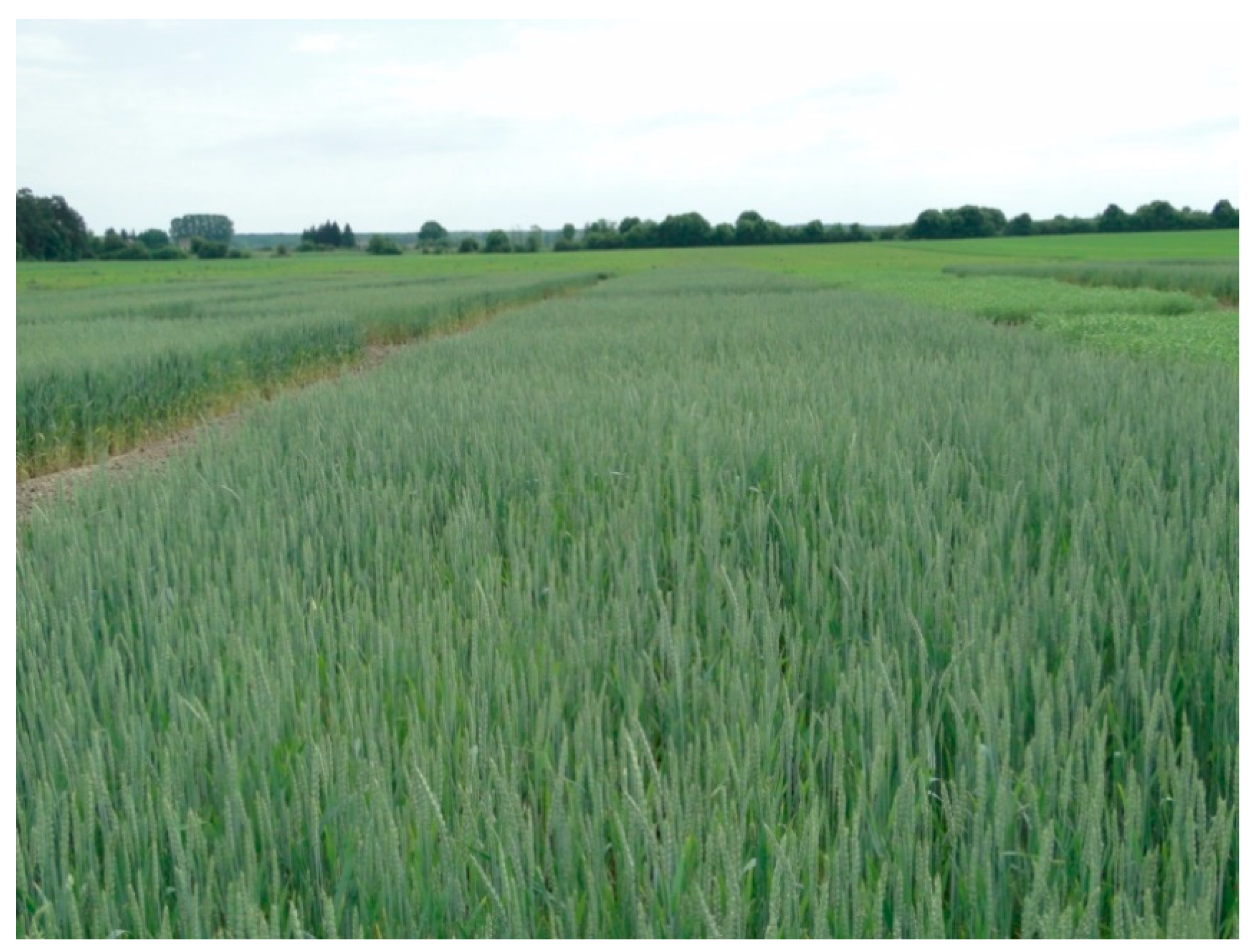 Agriculture 10 00405 g002 Agriculture 10 00405 g002