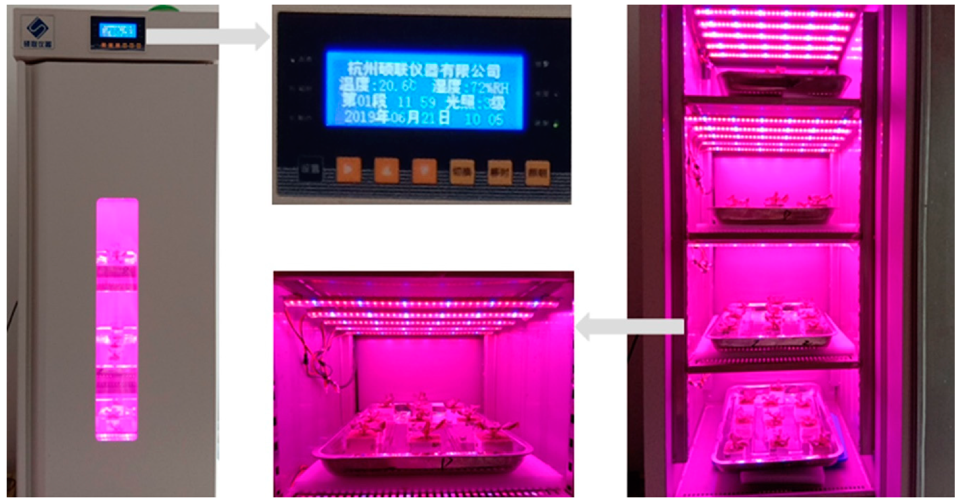 Agriculture 10 00406 g001 Agriculture 10 00406 g001