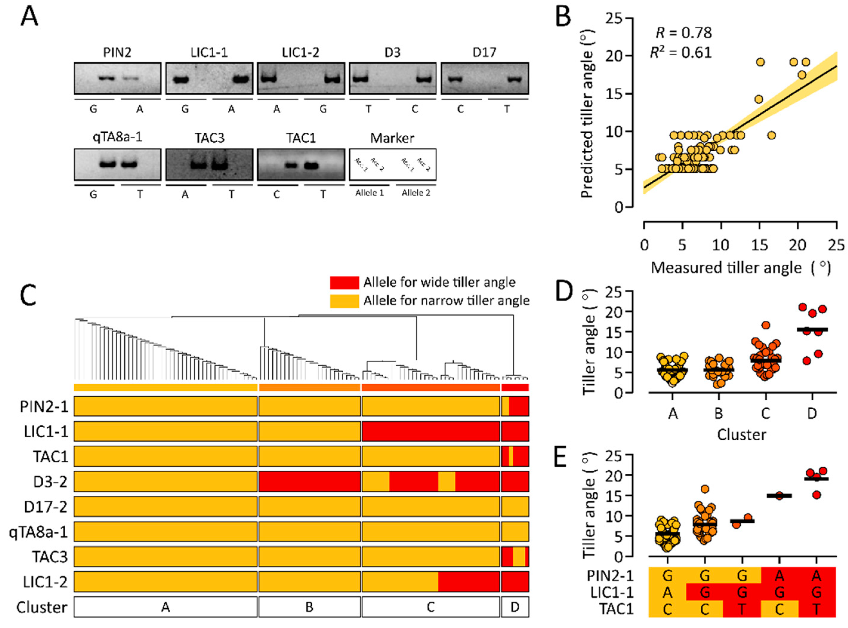 Agriculture 10 00428 g003