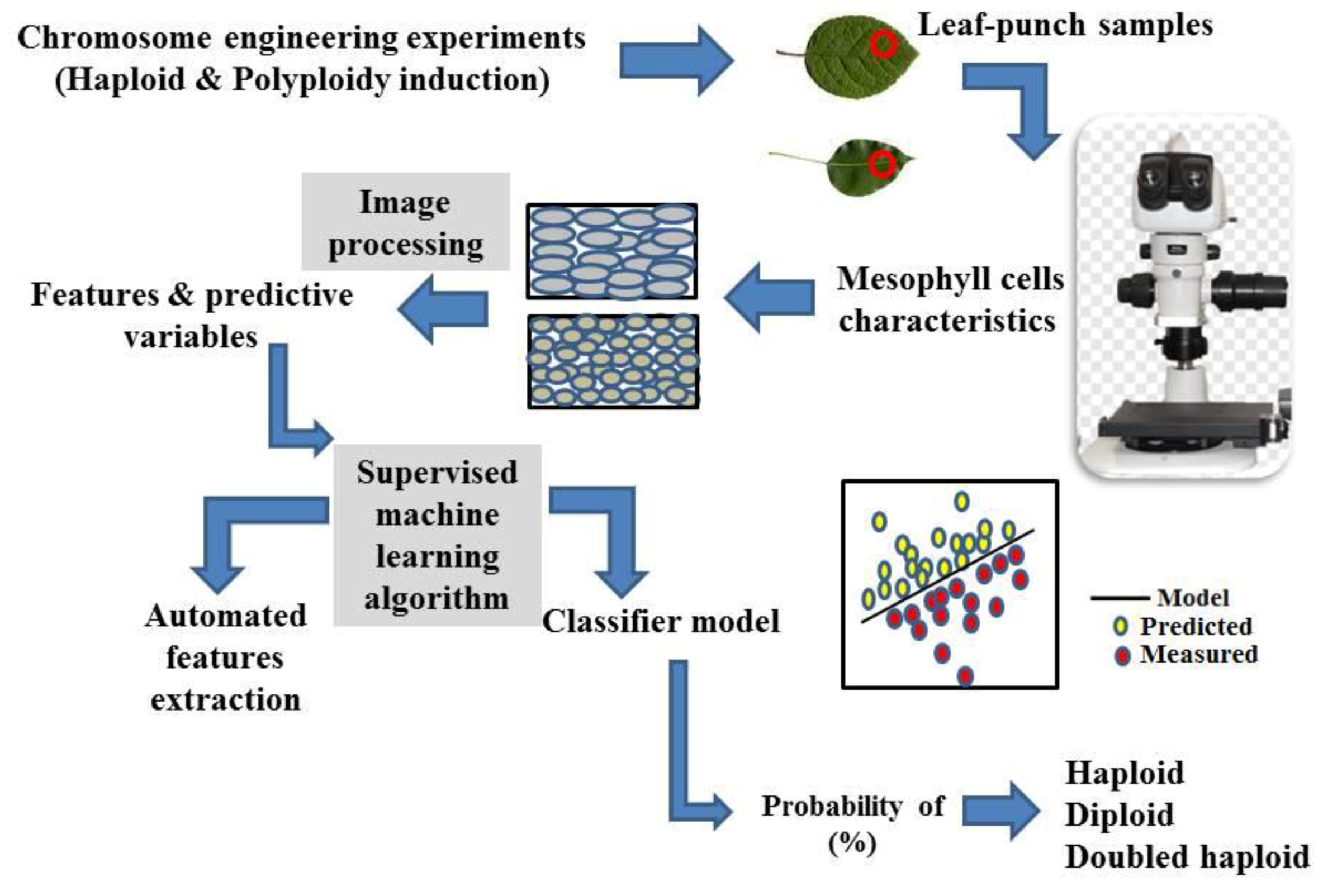 Agriculture 10 00436 g003 Agriculture 10 00436 g003