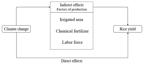 How Does Climate Change Affect Rice Yield in China?