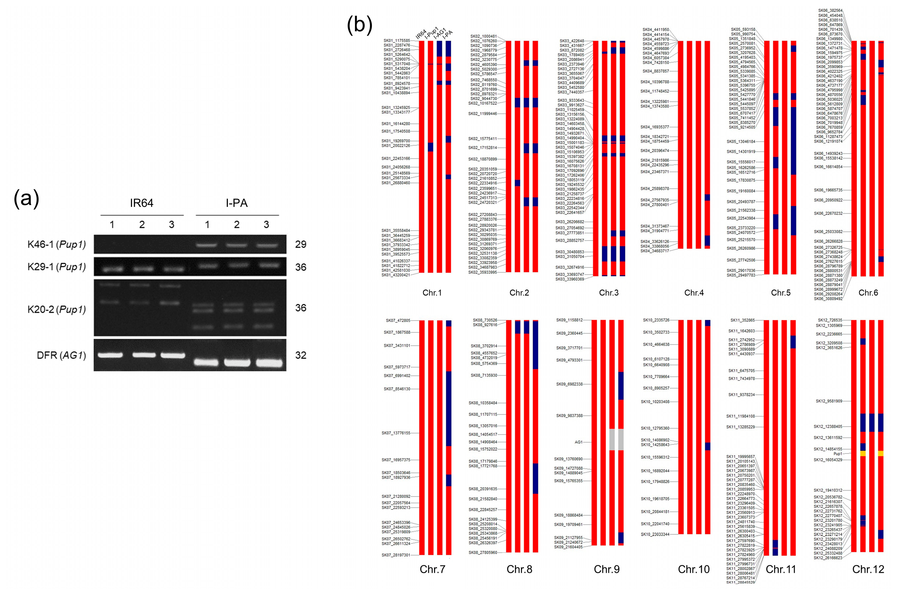 Agriculture 10 00453 g001