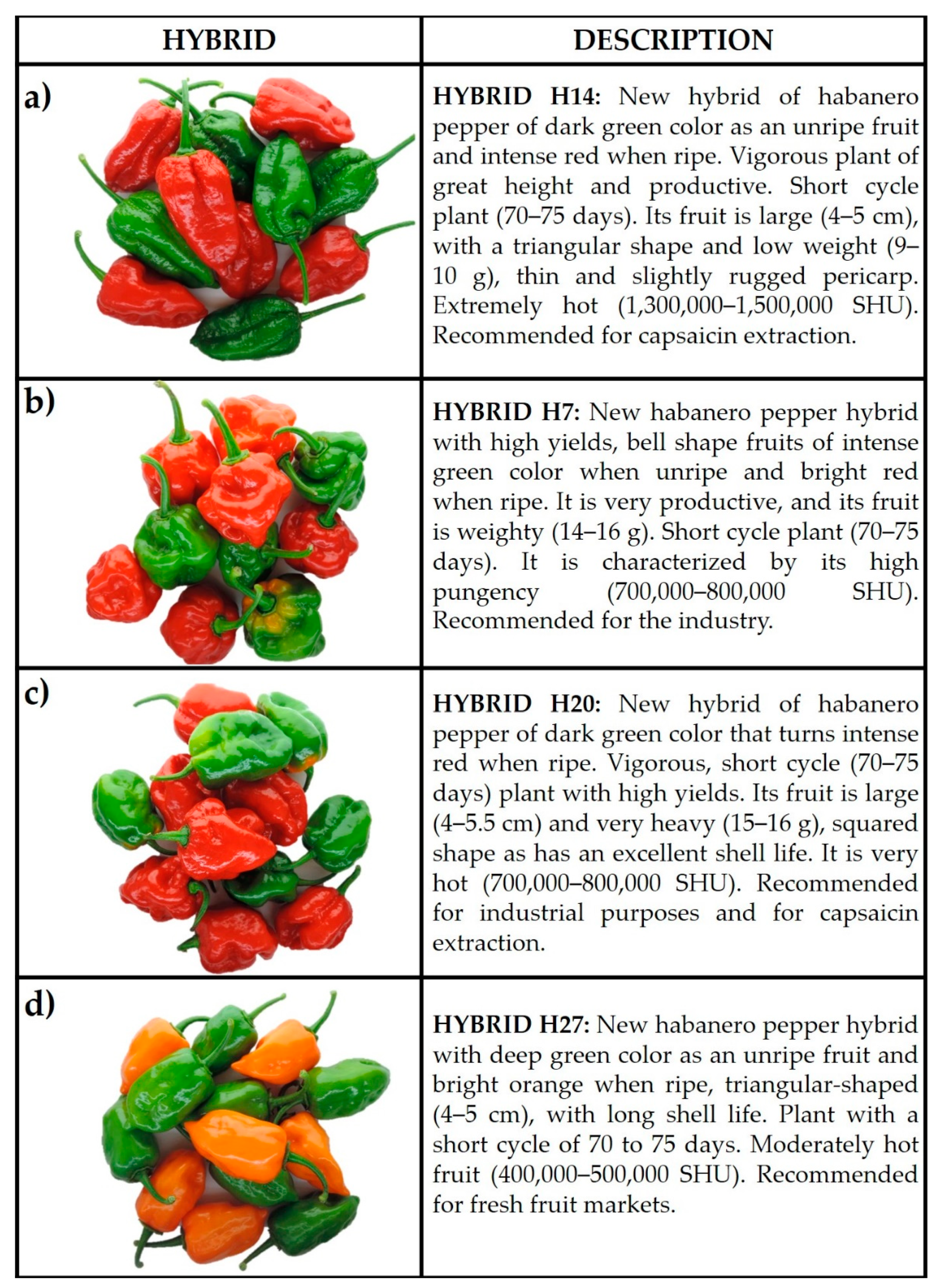 Agriculture Free Full Text Selection Of Habanero Pepper F1 Hybrids Capsicum Chinense Jacq At The Yucatan Peninsula Mexico With A High Potential For Different Markets Html