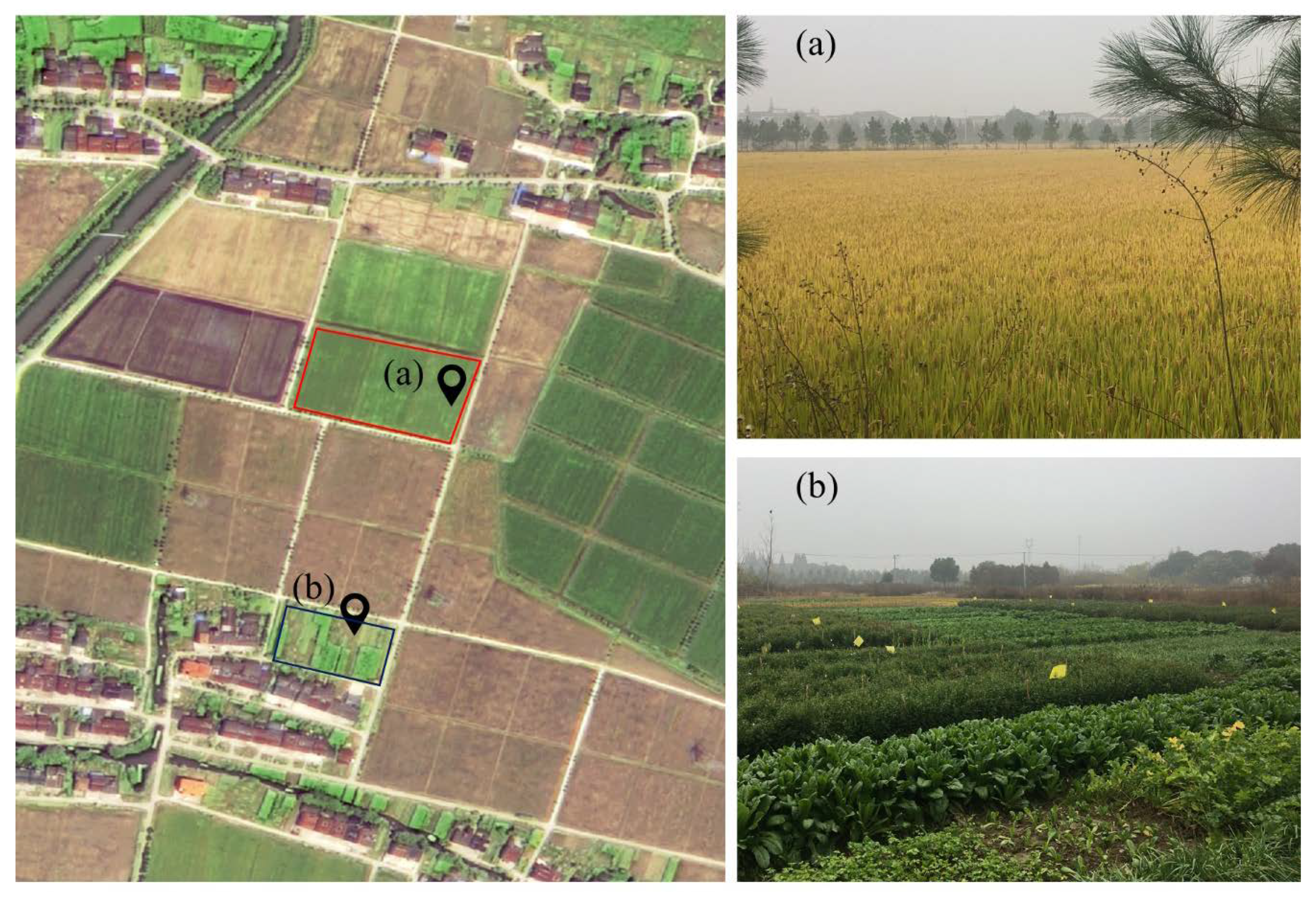 Agriculture 10 00483 g002