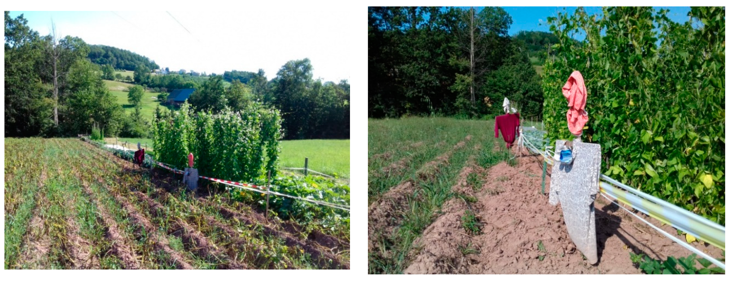 Agriculture 10 00496 g002