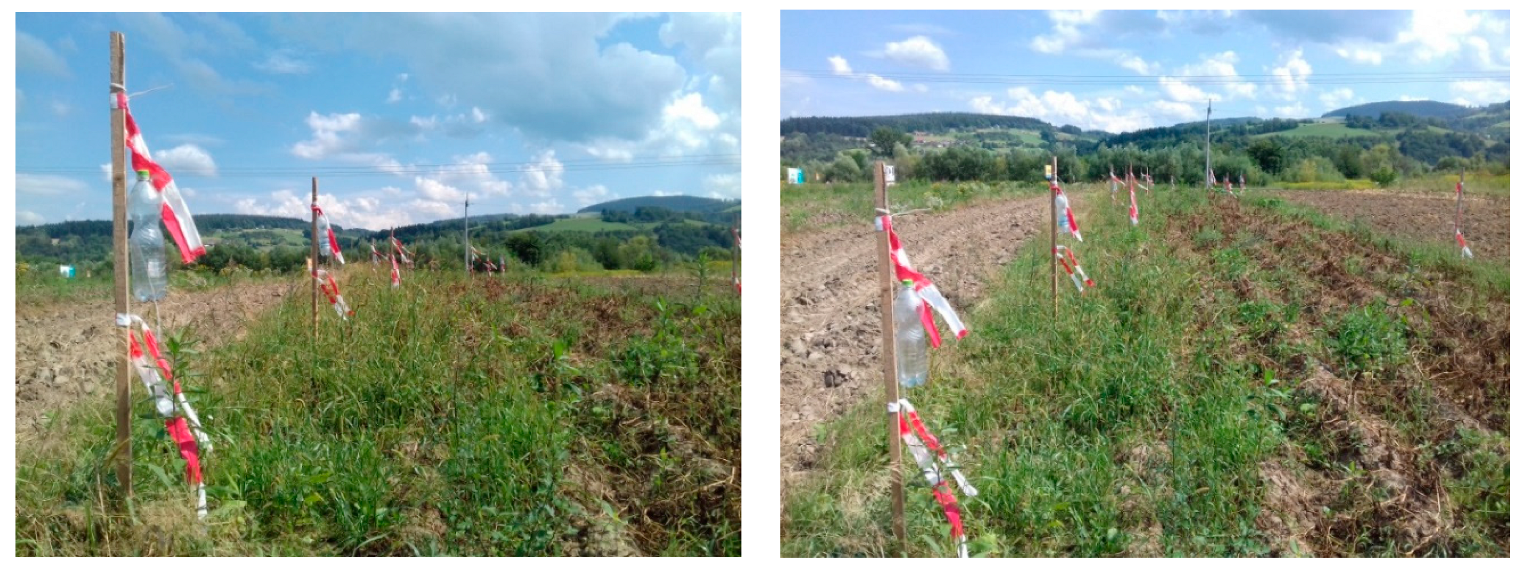 Agriculture 10 00496 g007