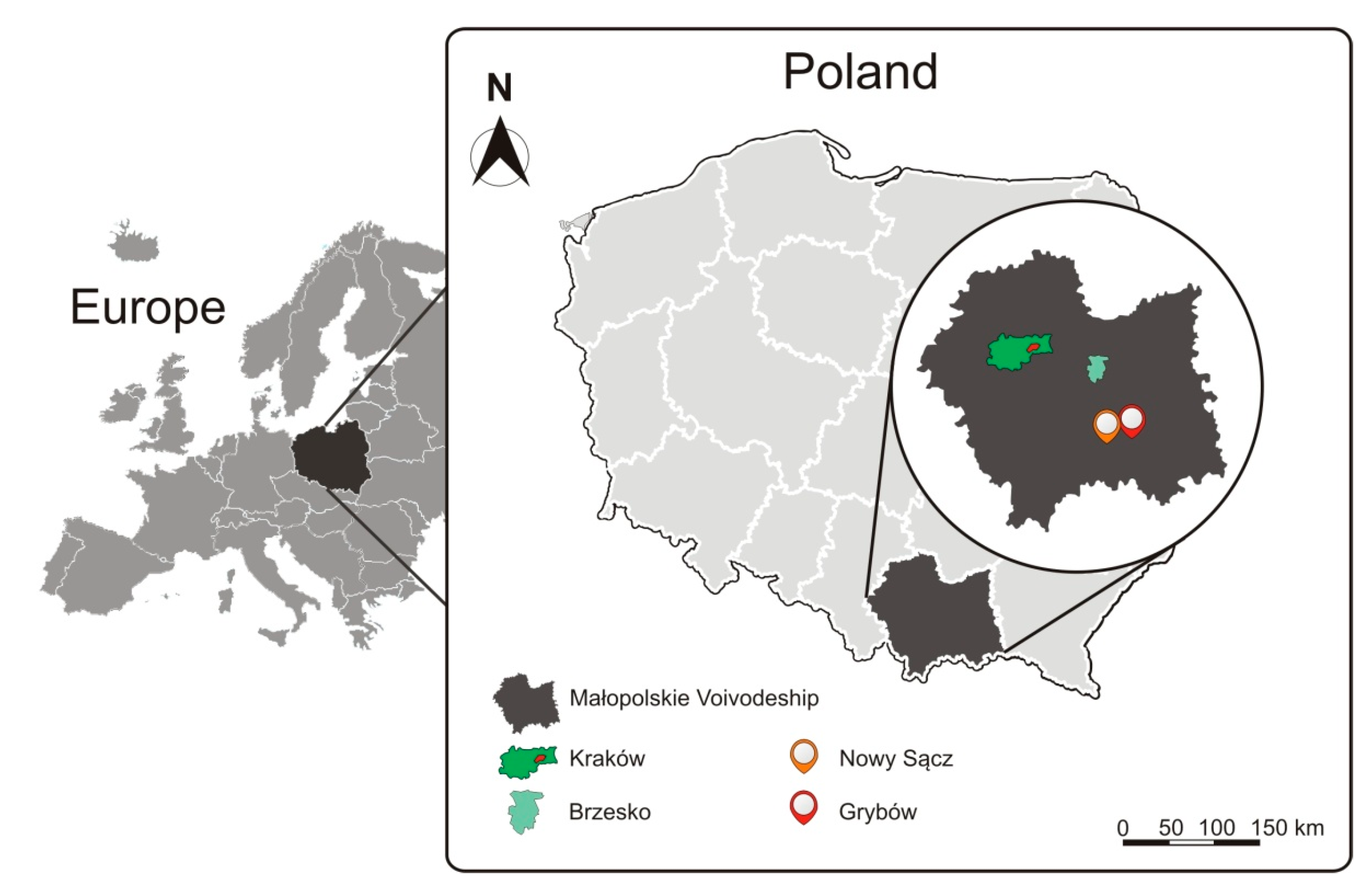 Agriculture 10 00496 sch001