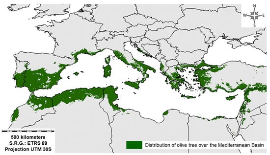 Agriculture | Free Full-Text | Examining Potential Environmental Consequences of Climate Change and Other Driving Forces on the Sustainability of Spanish Olive Groves under a Socio-Ecological Approach