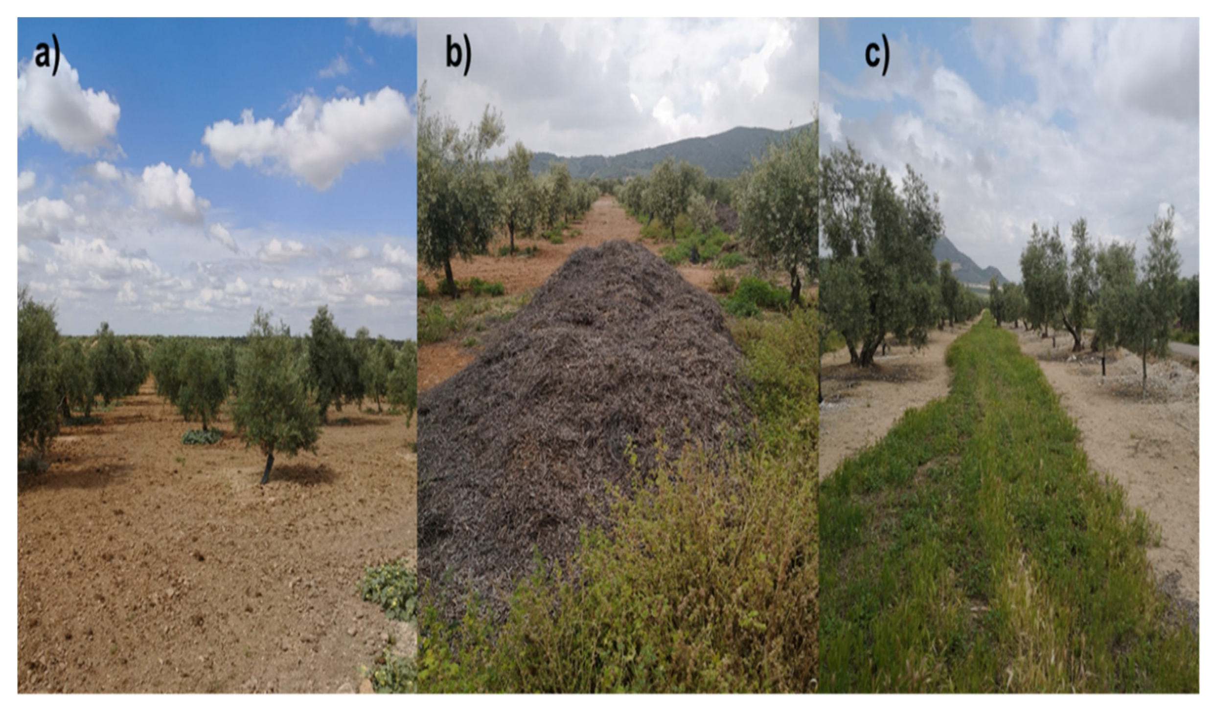 Agriculture 10 00509 g004 Agriculture 10 00509 g004