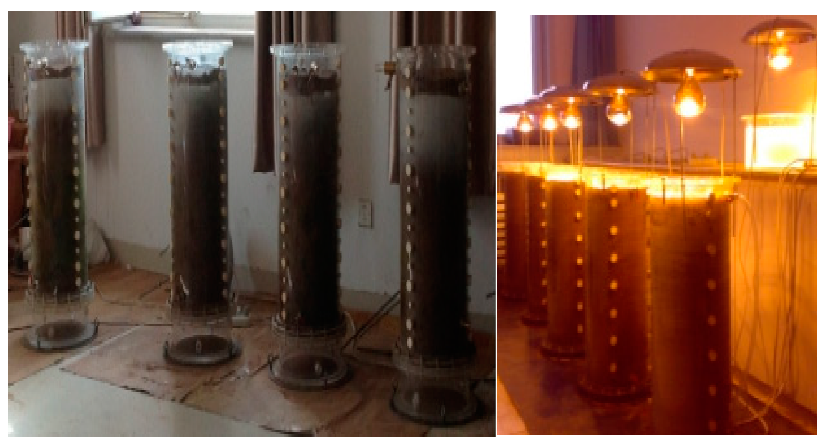 Agriculture 10 00519 g001 Agriculture 10 00519 g001