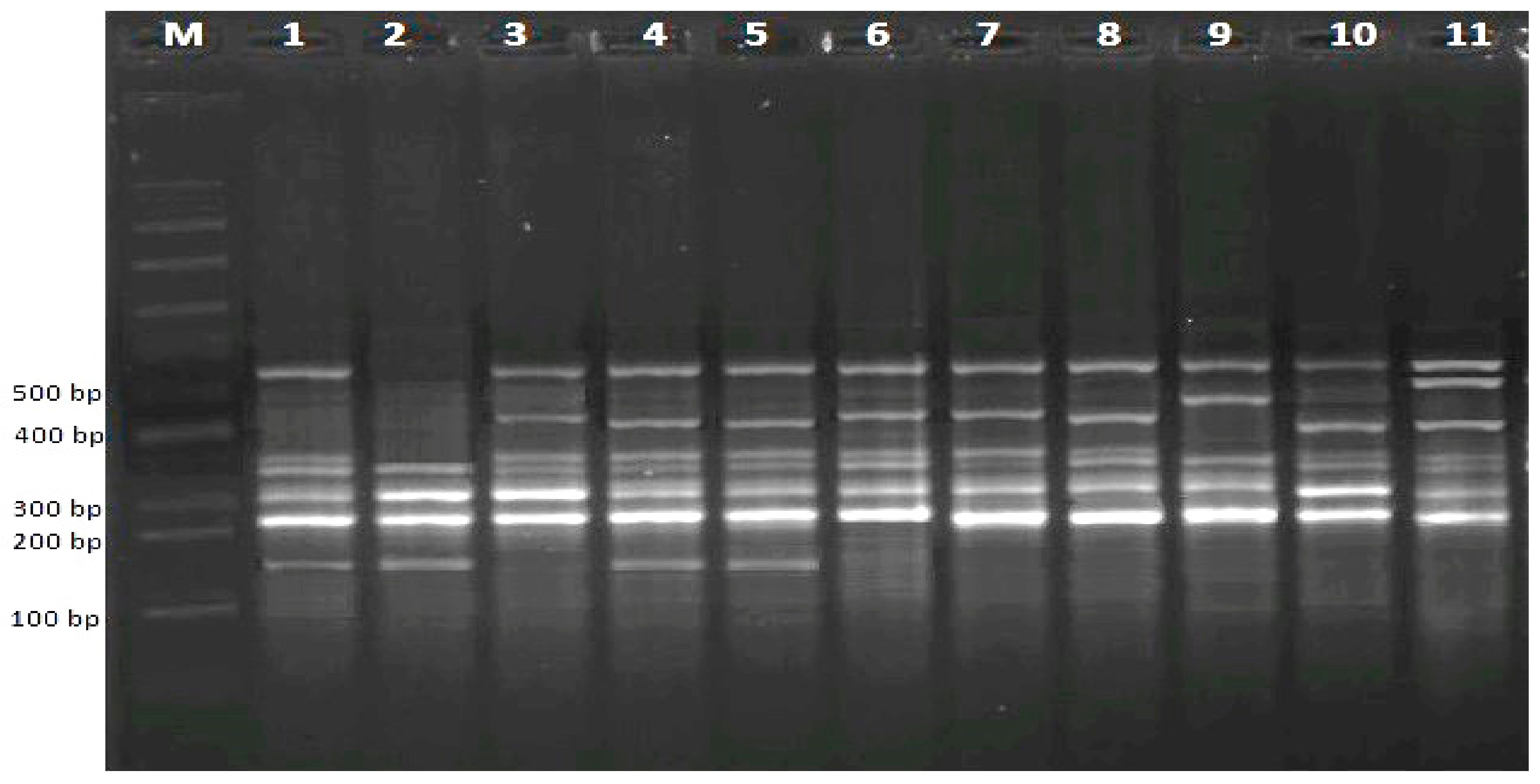 Agriculture 10 00521 g003