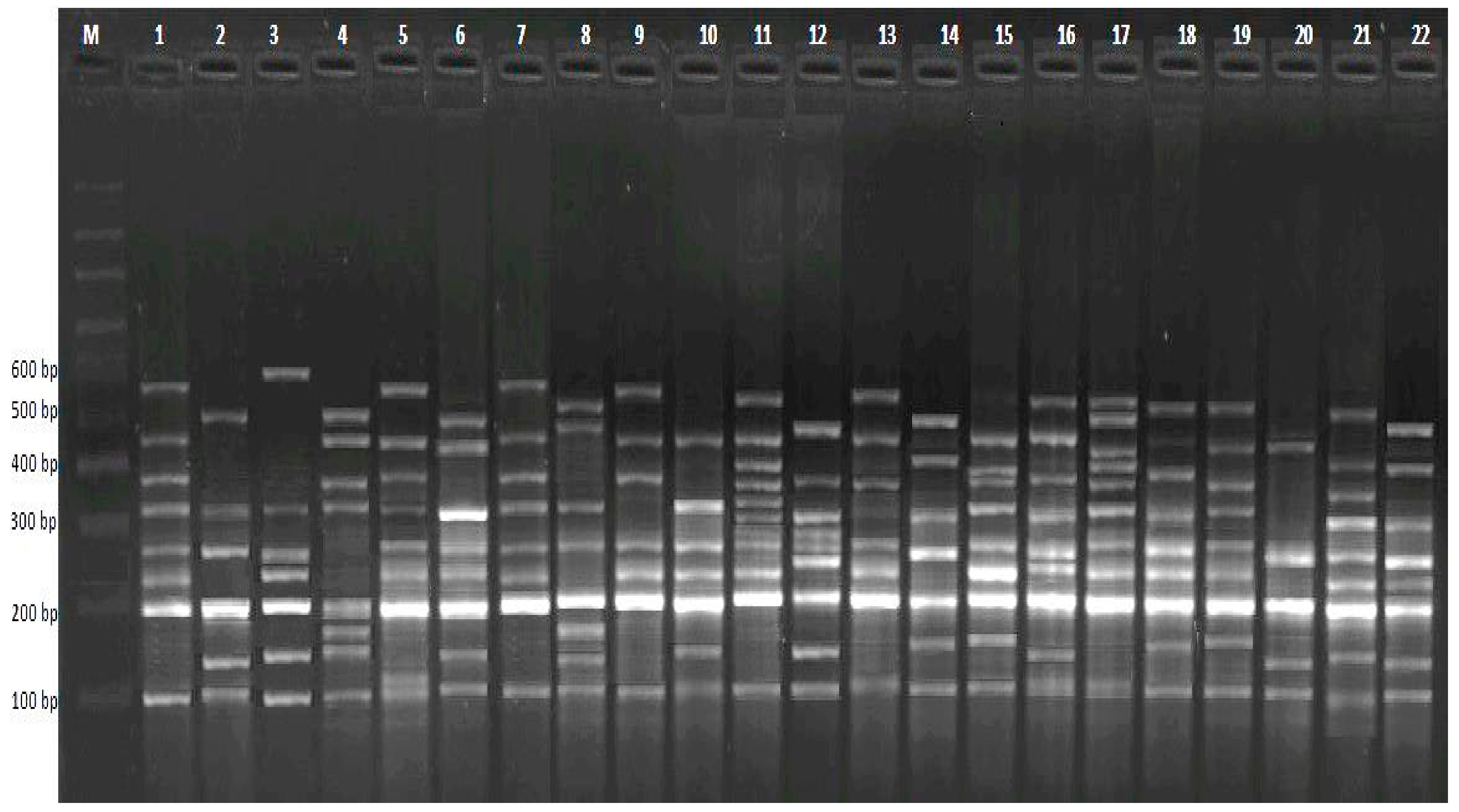 Agriculture 10 00521 g004