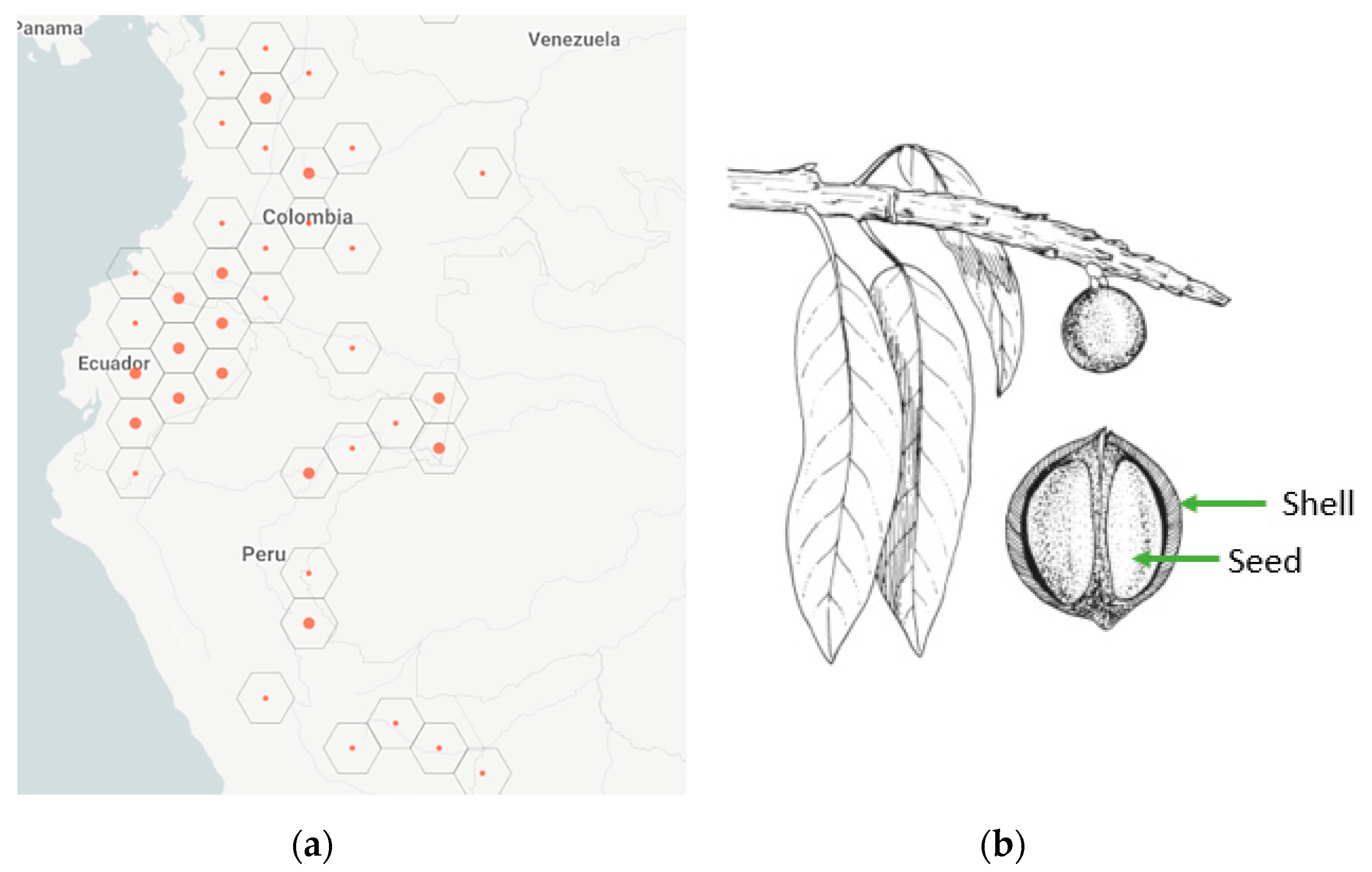 Agriculture 10 00537 g001 550