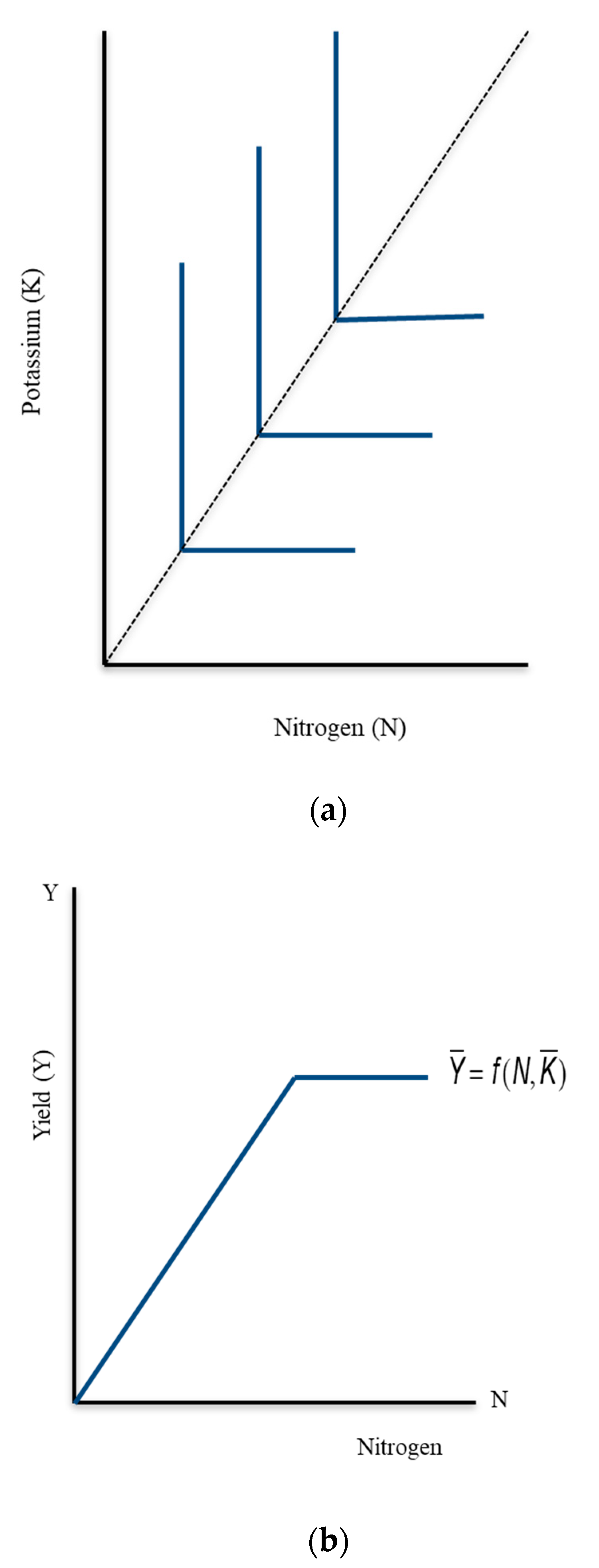 Agriculture 10 00559 g001