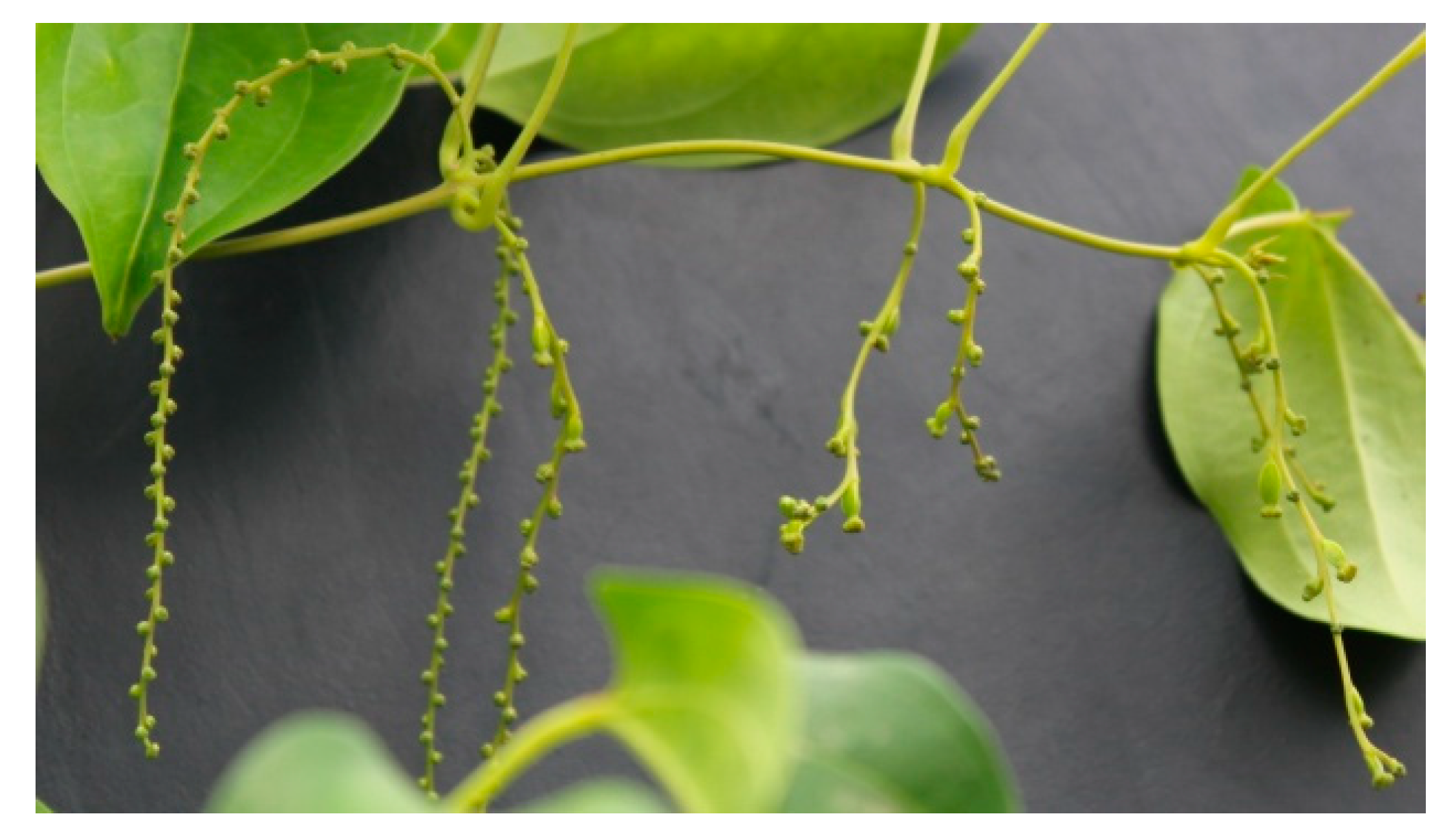 Agriculture 10 00560 g003 Agriculture 10 00560 g003