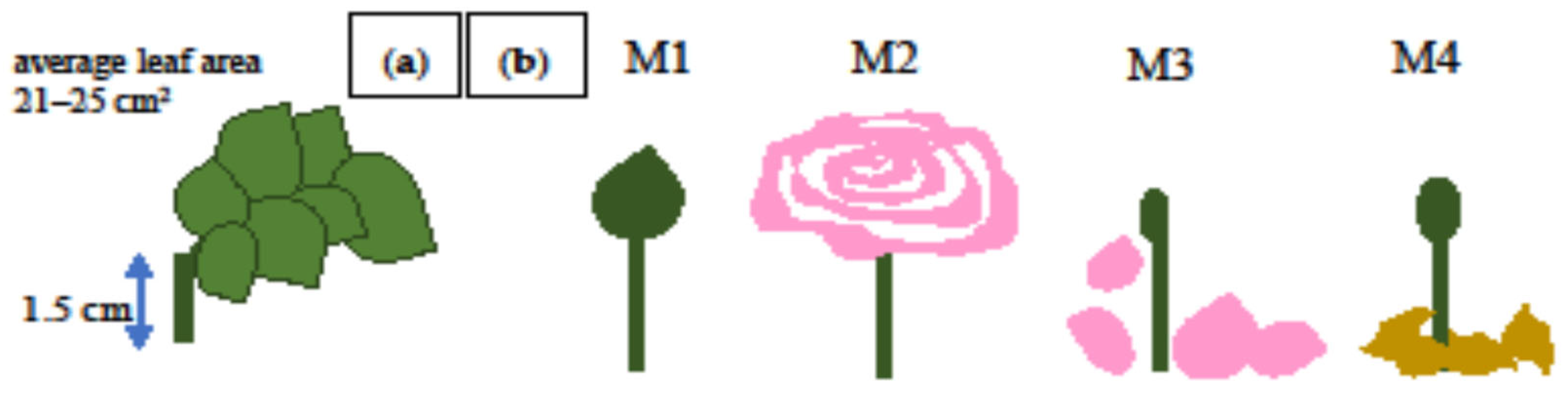 Agriculture 10 00572 g001 Agriculture 10 00572 g001