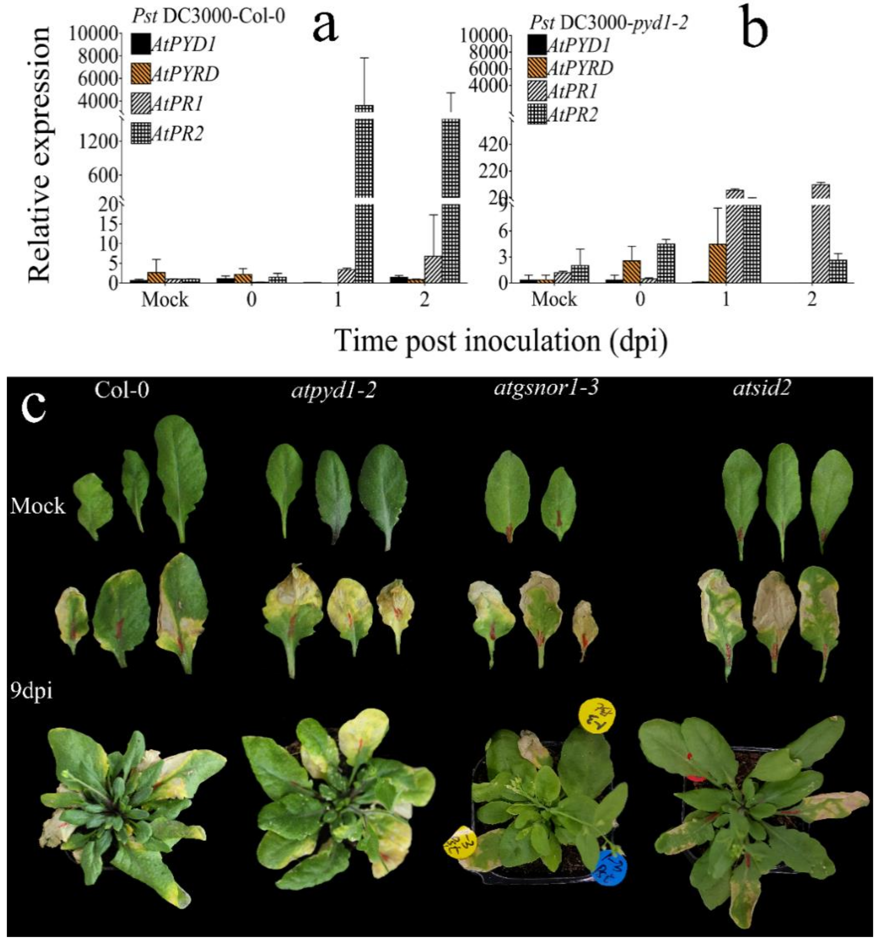 Agriculture 10 00573 g003