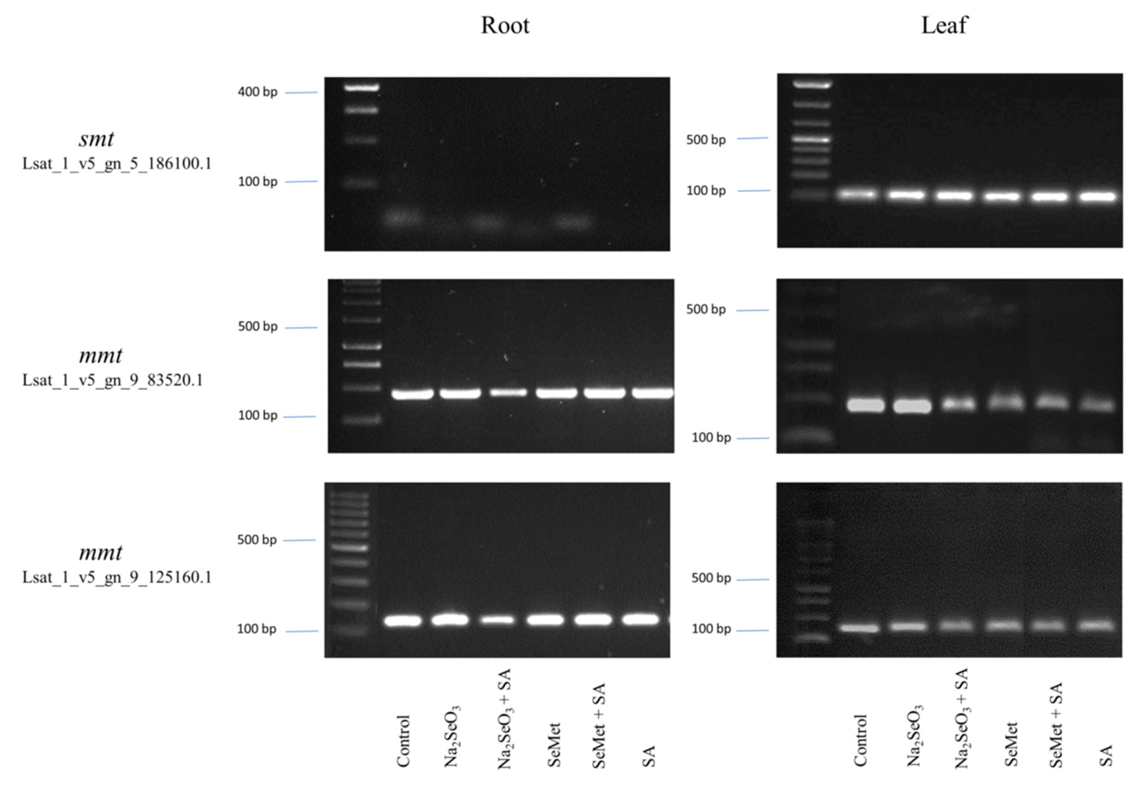 Agriculture 10 00584 g004 Agriculture 10 00584 g004