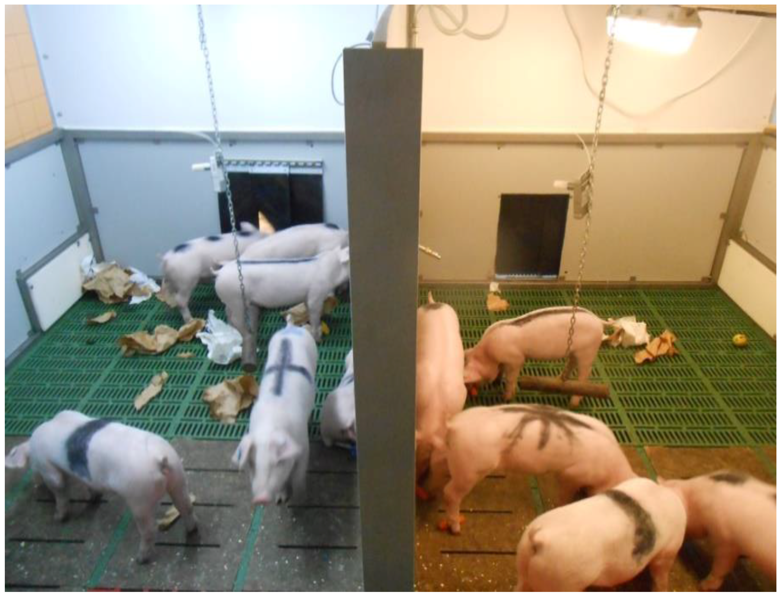 Agriculture 10 00594 g002 550