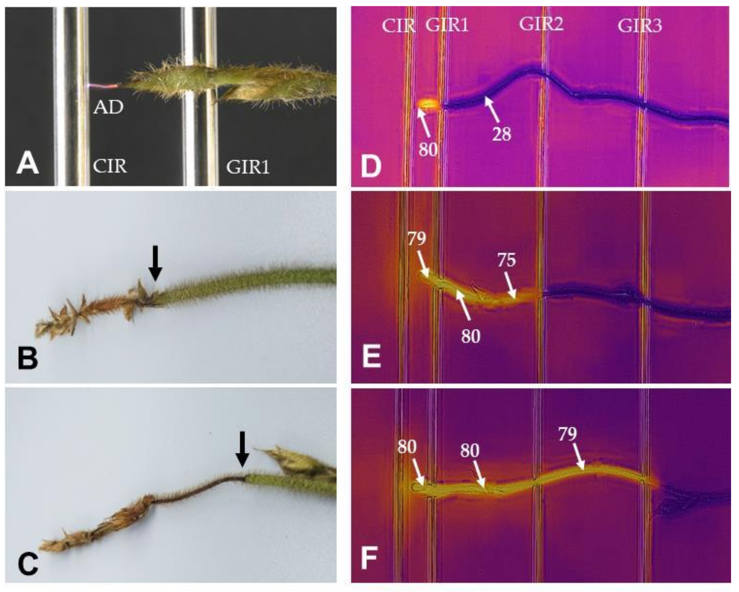 Agriculture 10 00600 g004 Agriculture 10 00600 g004
