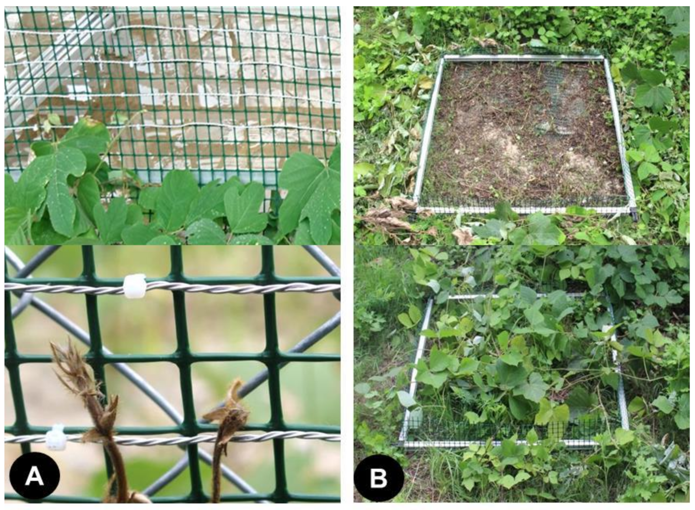 Agriculture 10 00600 g005 Agriculture 10 00600 g005